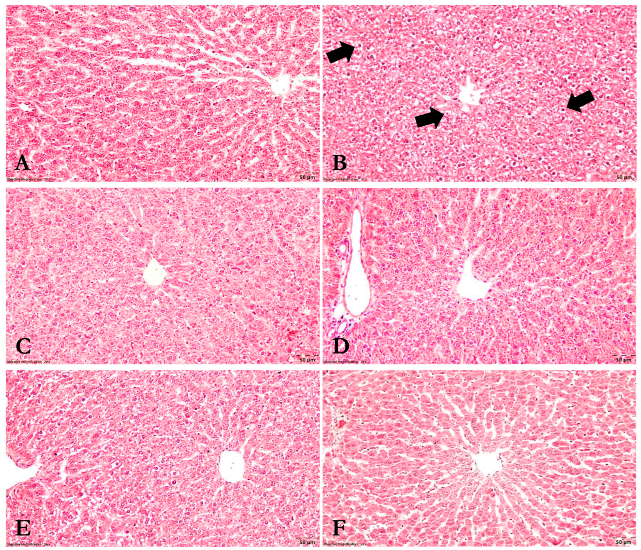 Nutrients 15 04392 g010