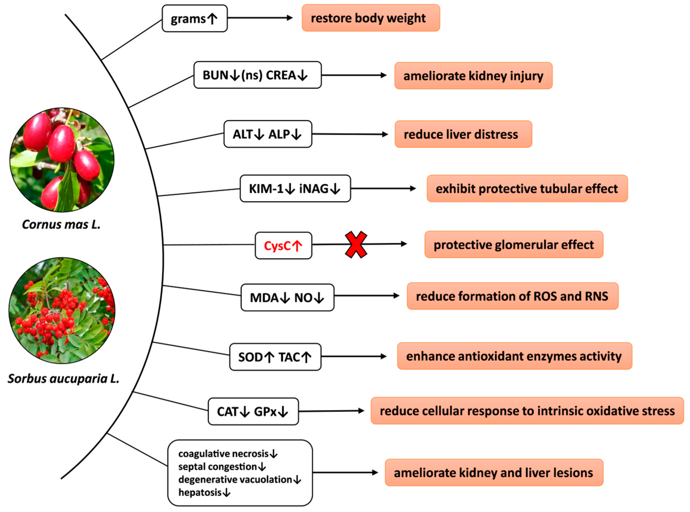 Nutrients 15 04392 g011