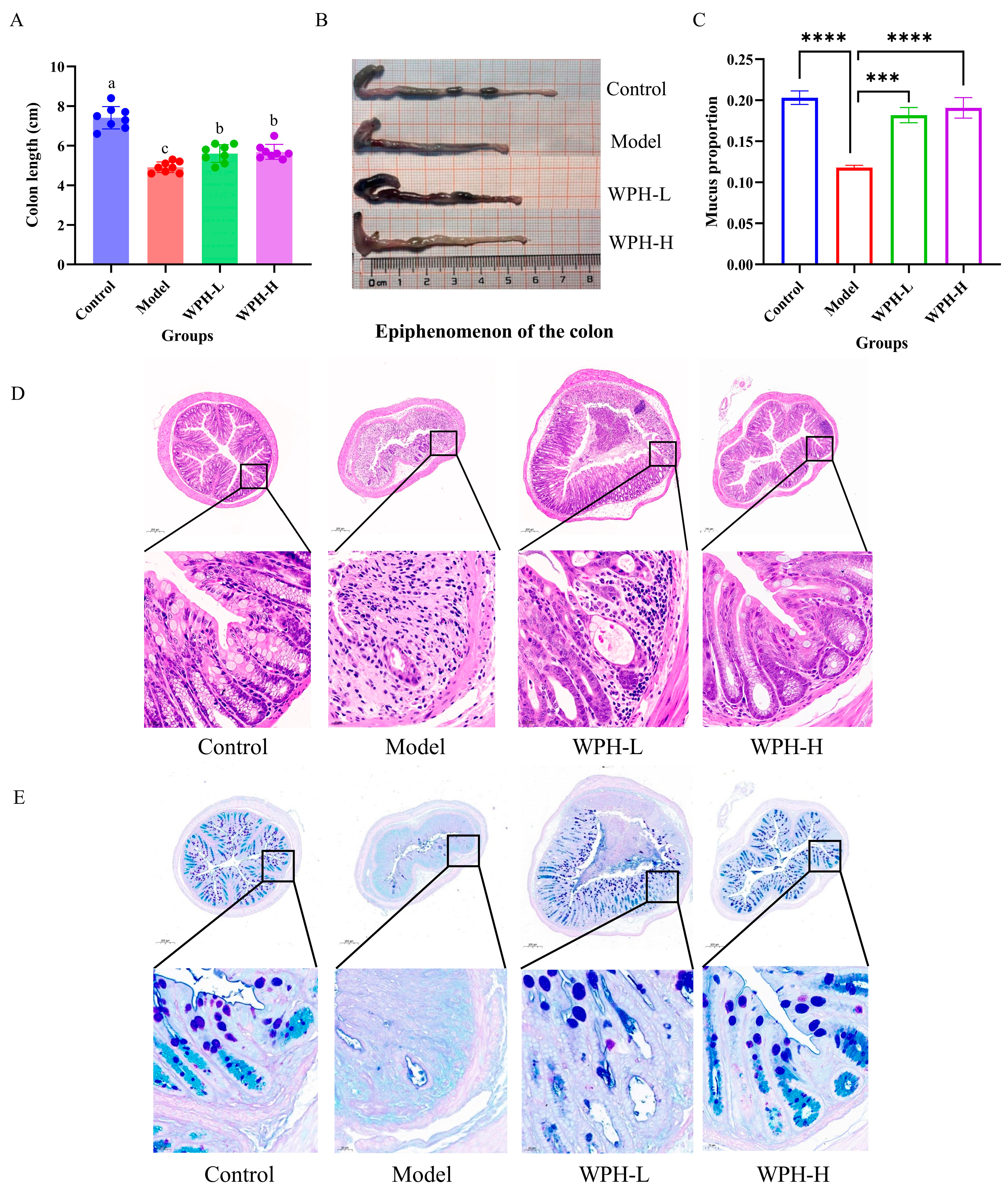 Nutrients 15 04393 g002