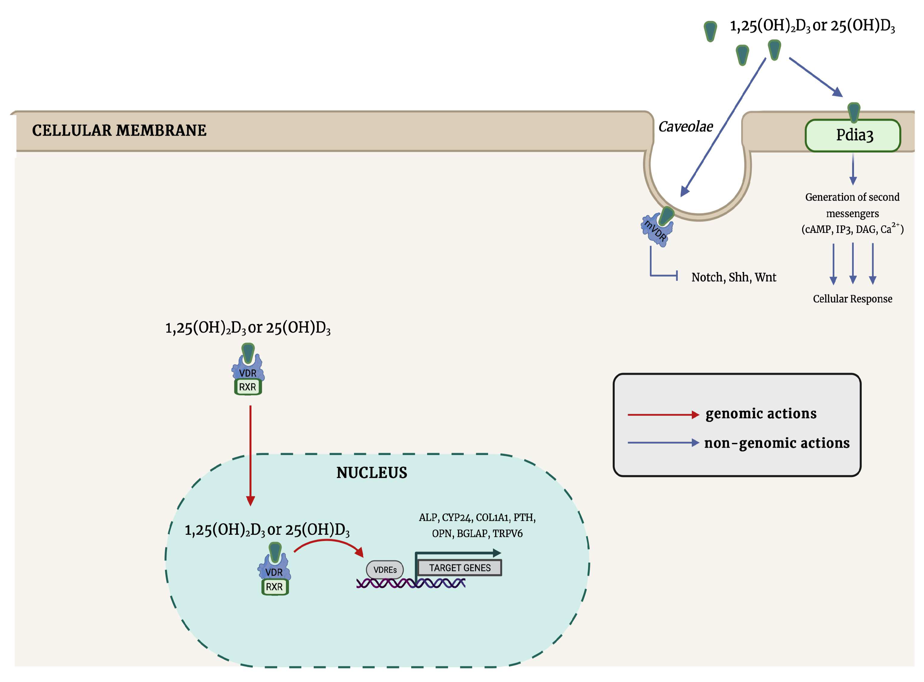 Nutrients 15 04409 g002