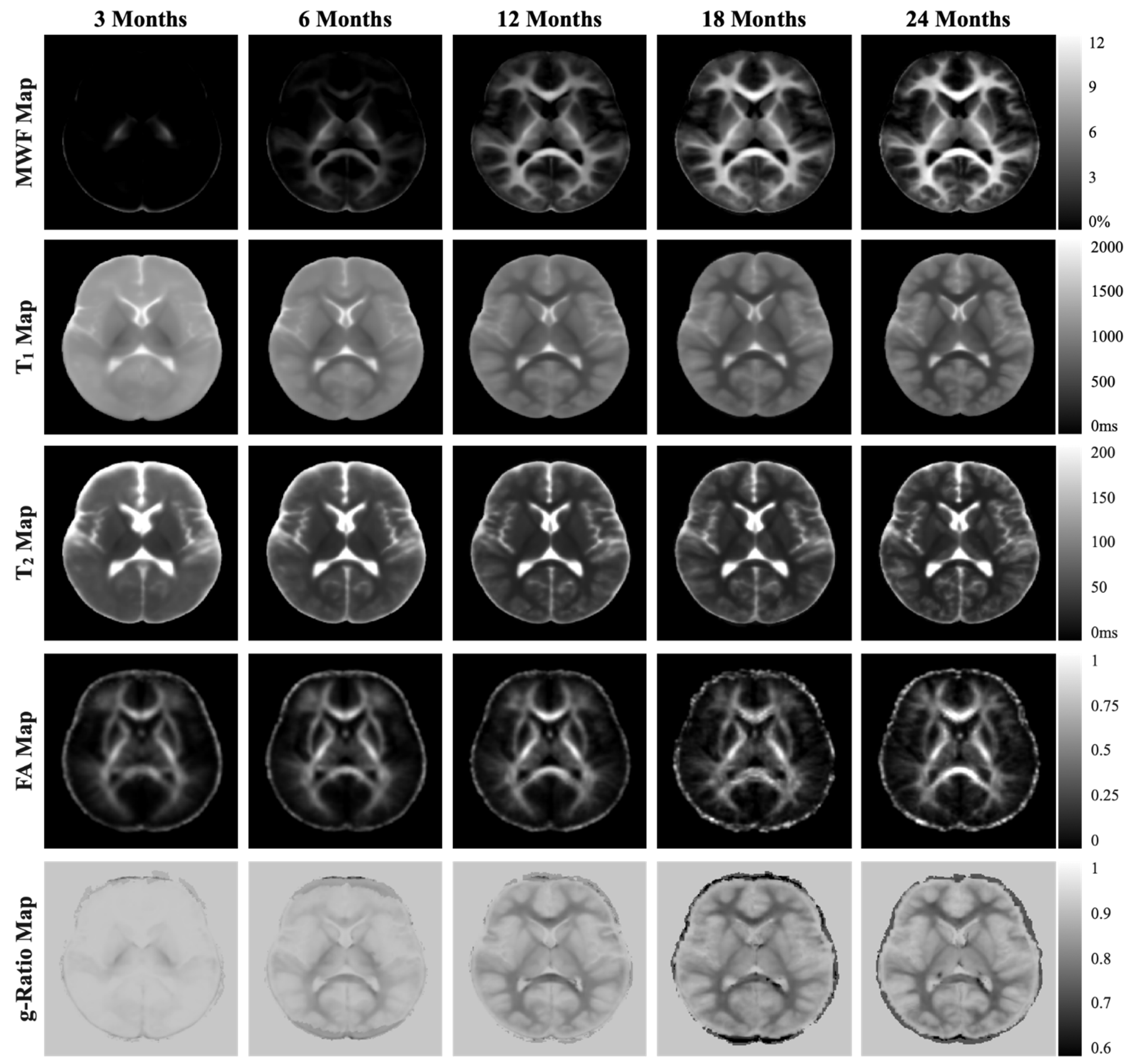 Nutrients 15 04439 g003