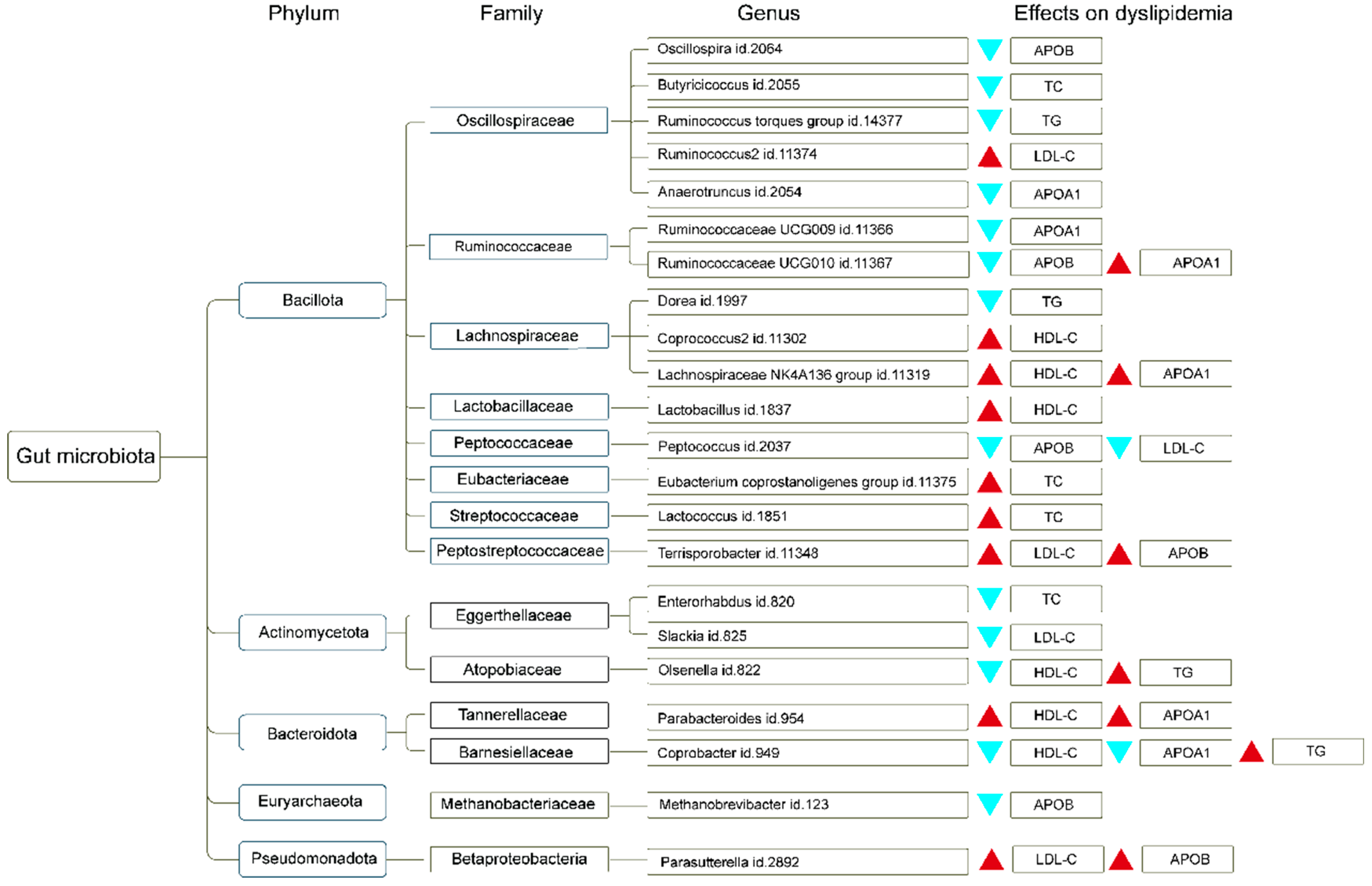Nutrients 15 04445 g003
