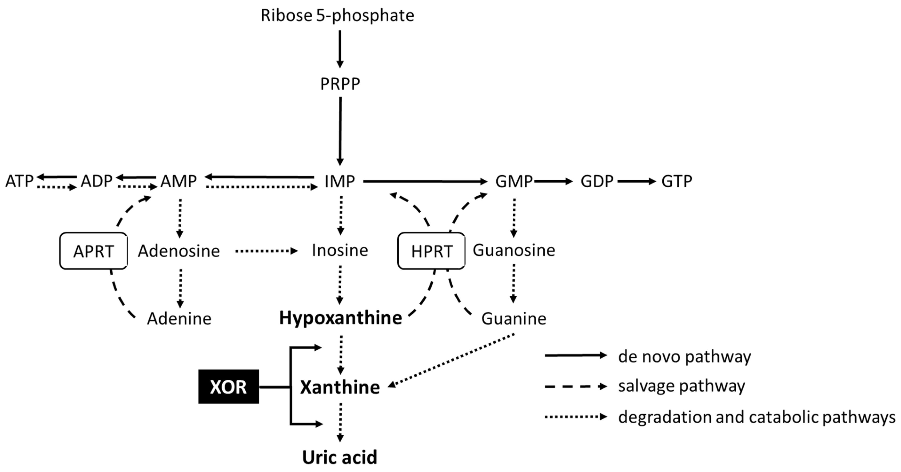 Nutrients 15 04480 g001