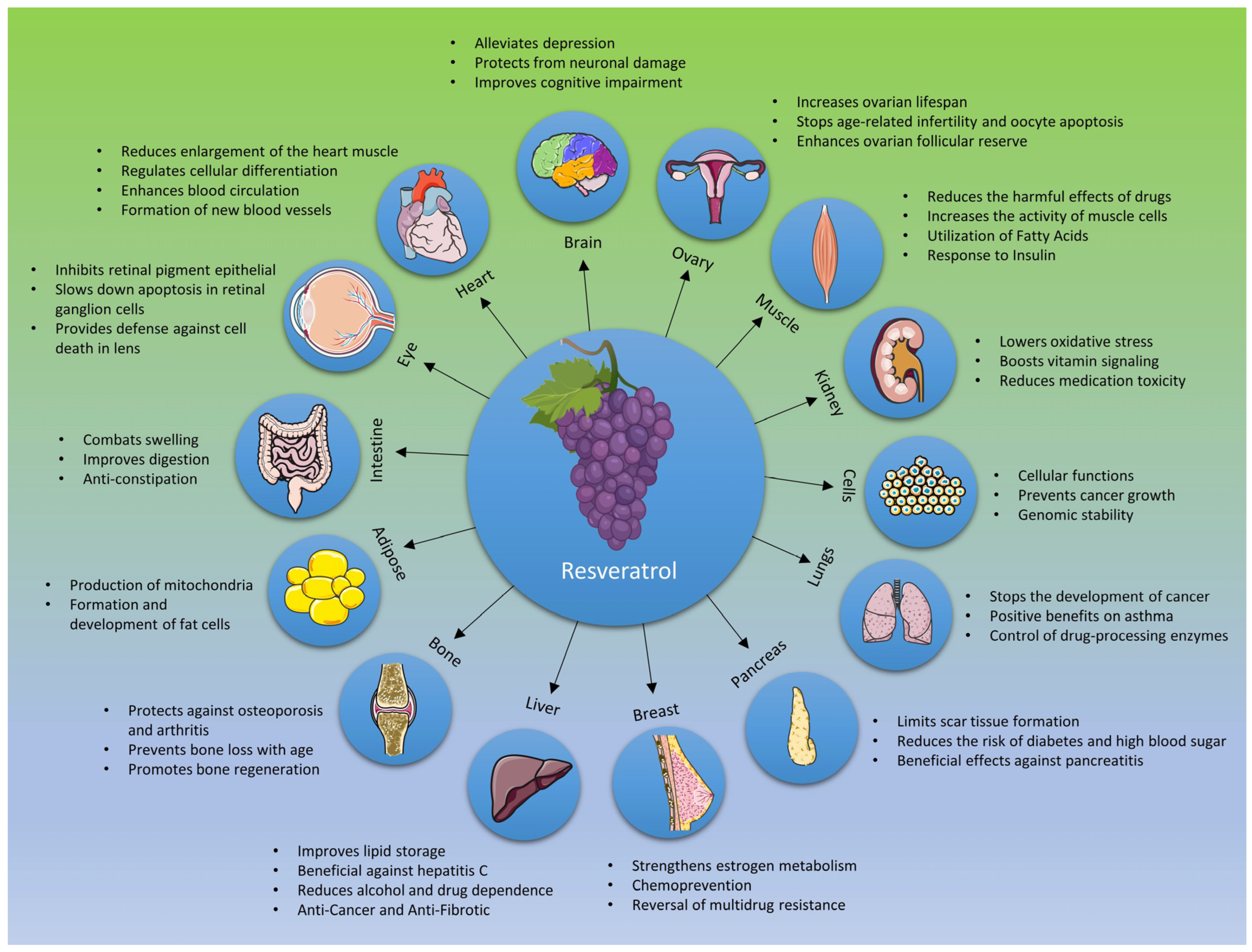 Nutrients 15 04486 g004
