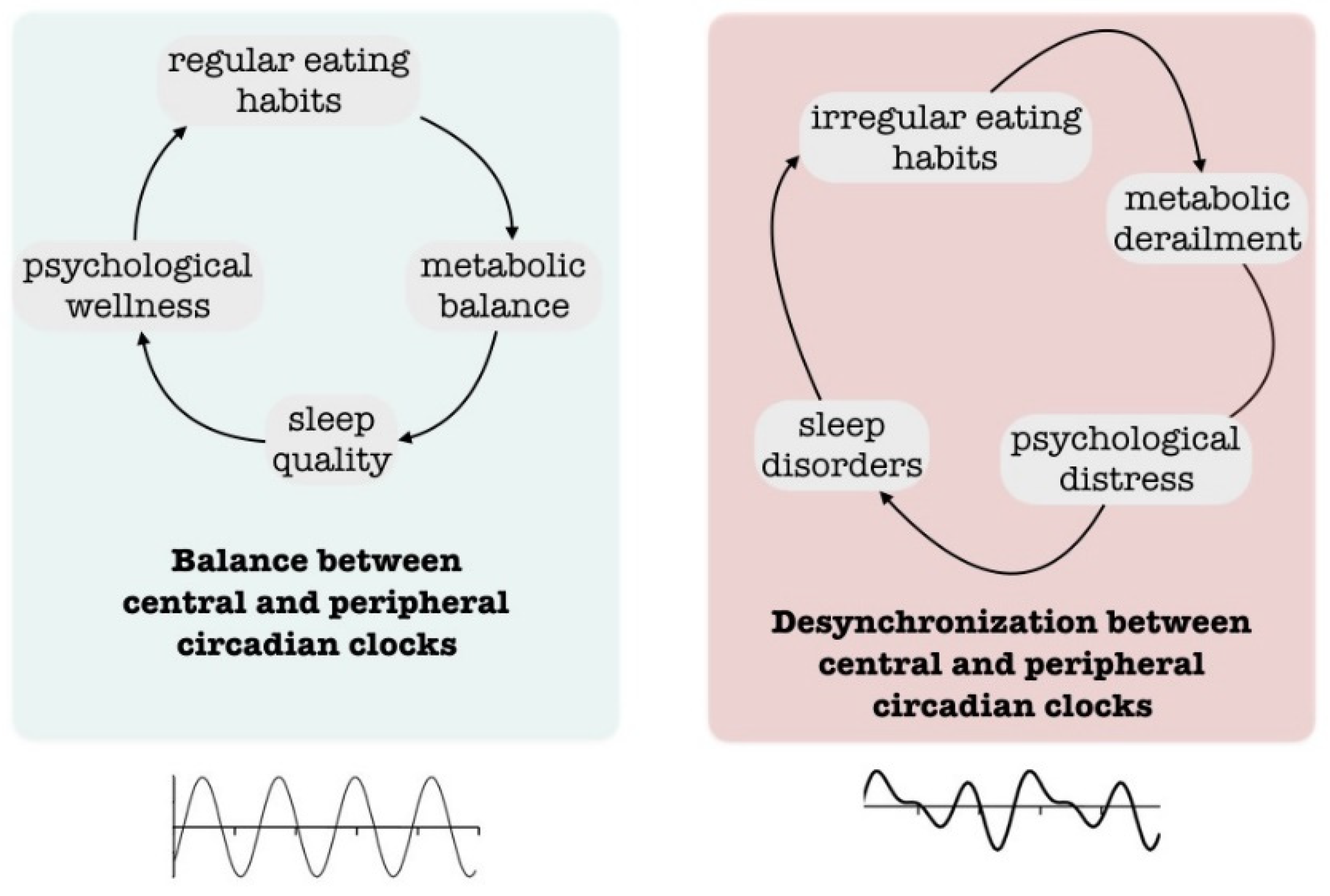 Nutrients 15 04488 g003