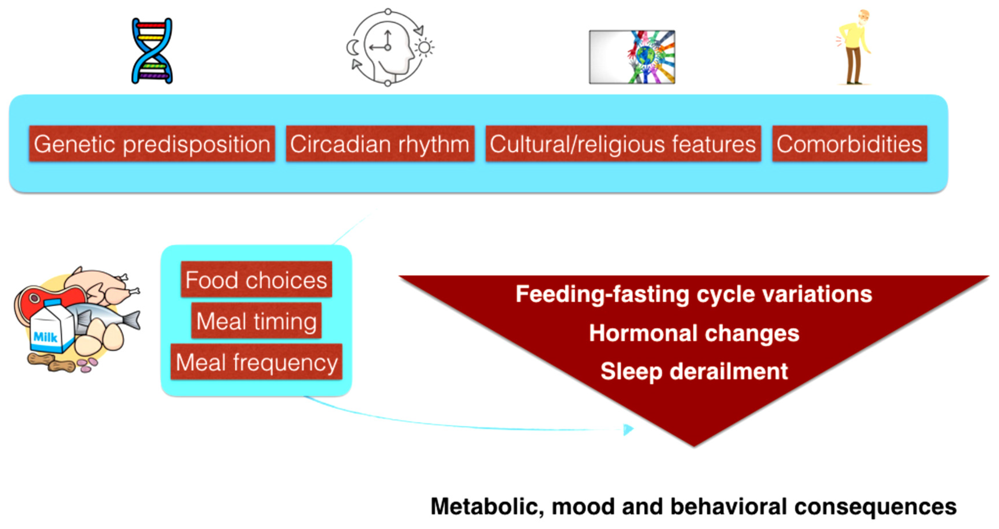 Nutrients 15 04488 g005
