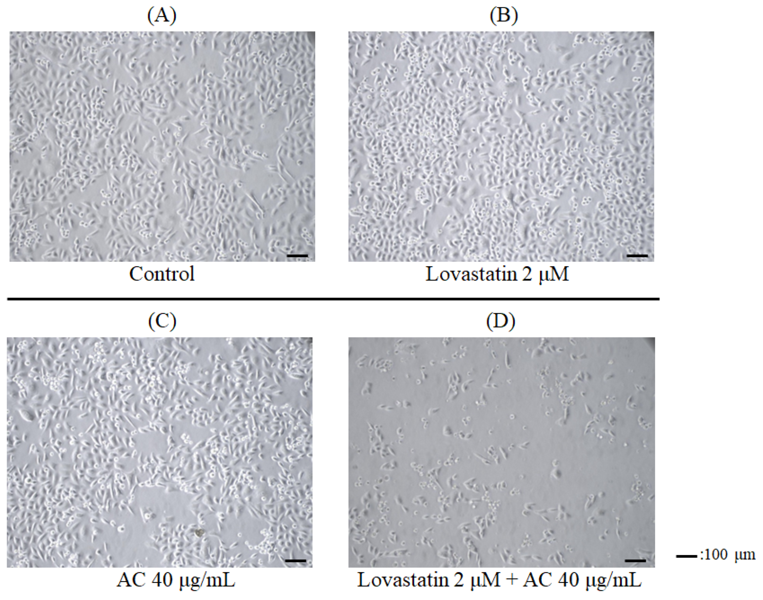 Nutrients 15 04493 g001