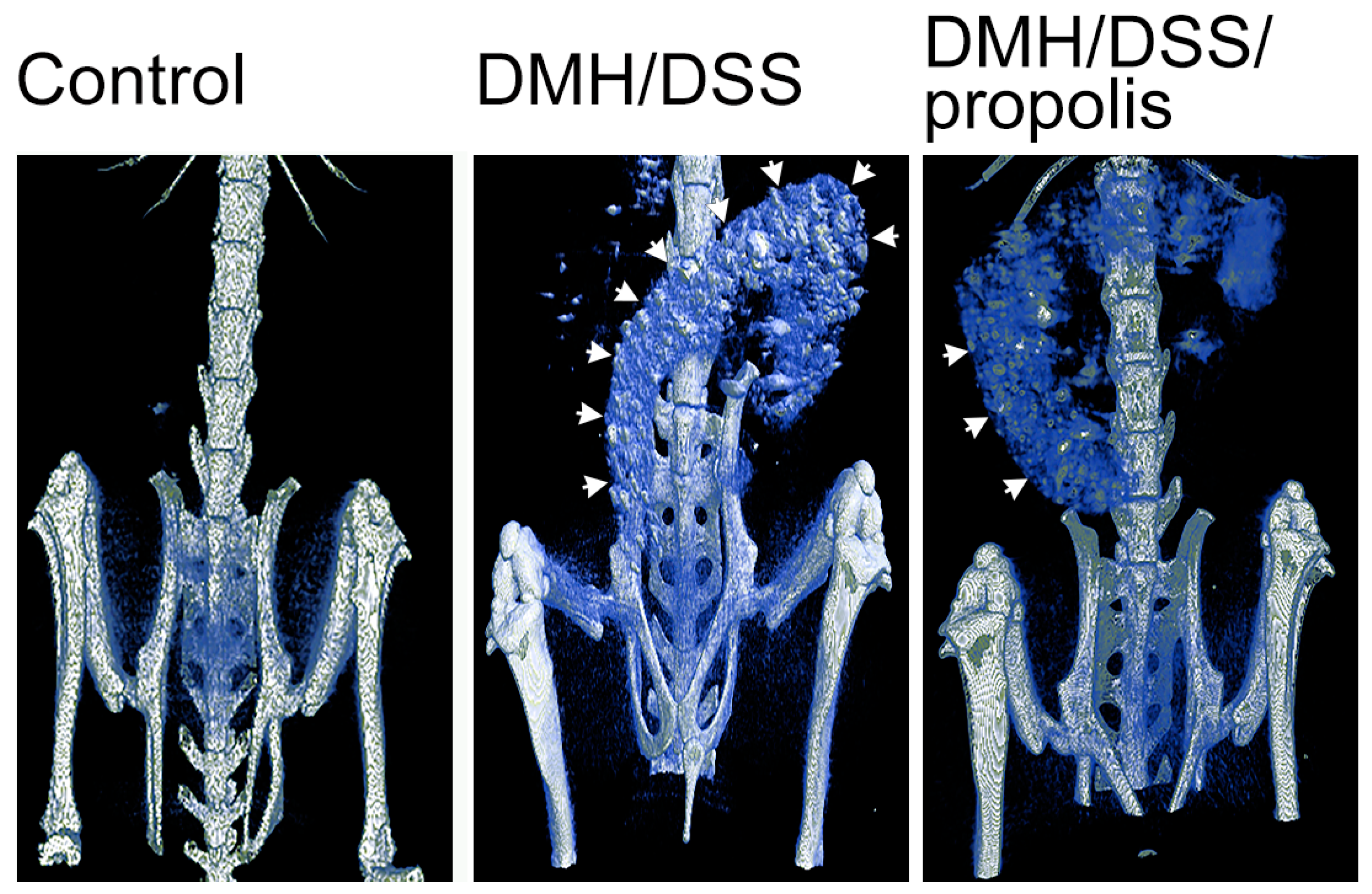 Nutrients 15 04494 g002