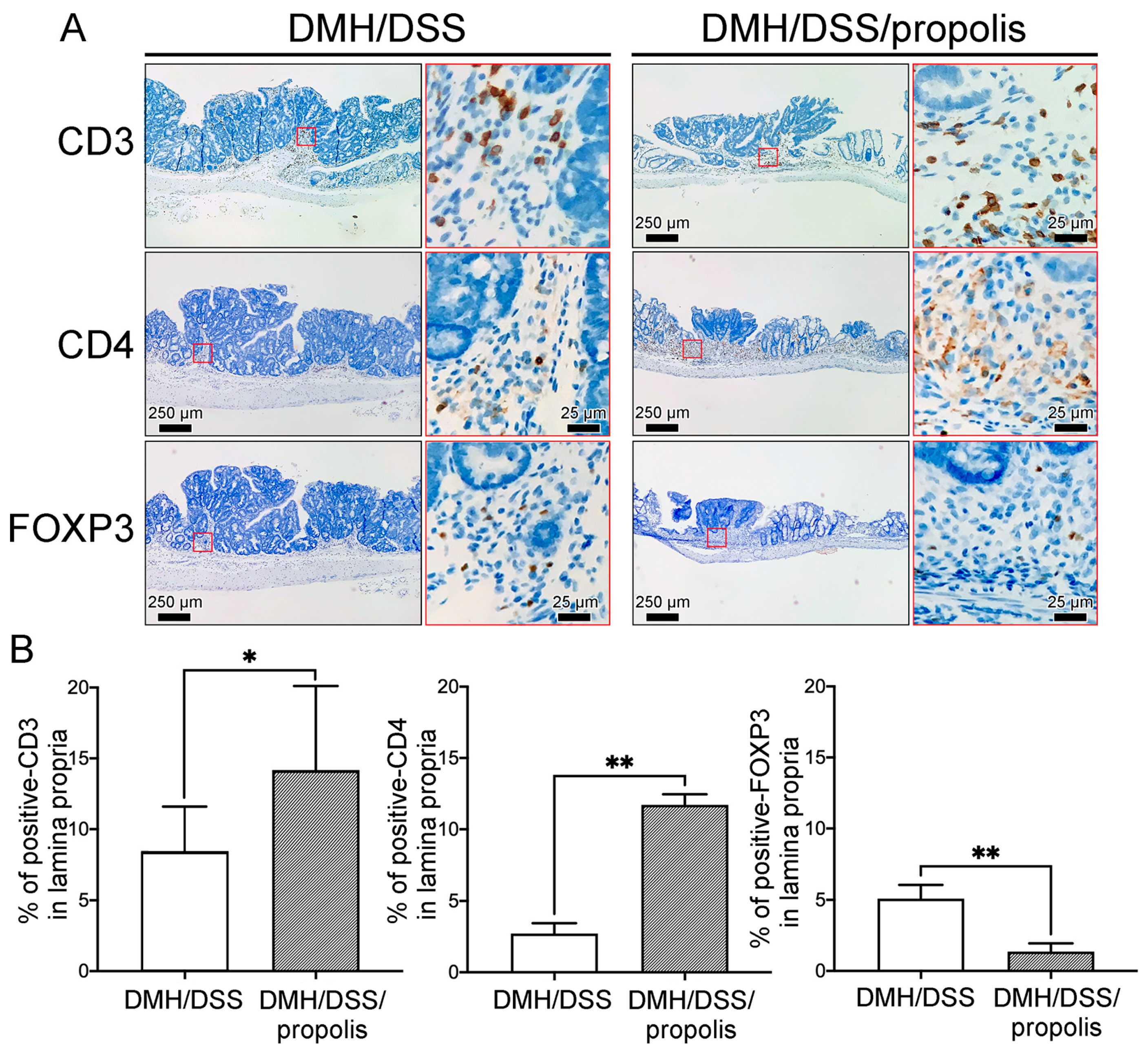 Nutrients 15 04494 g006