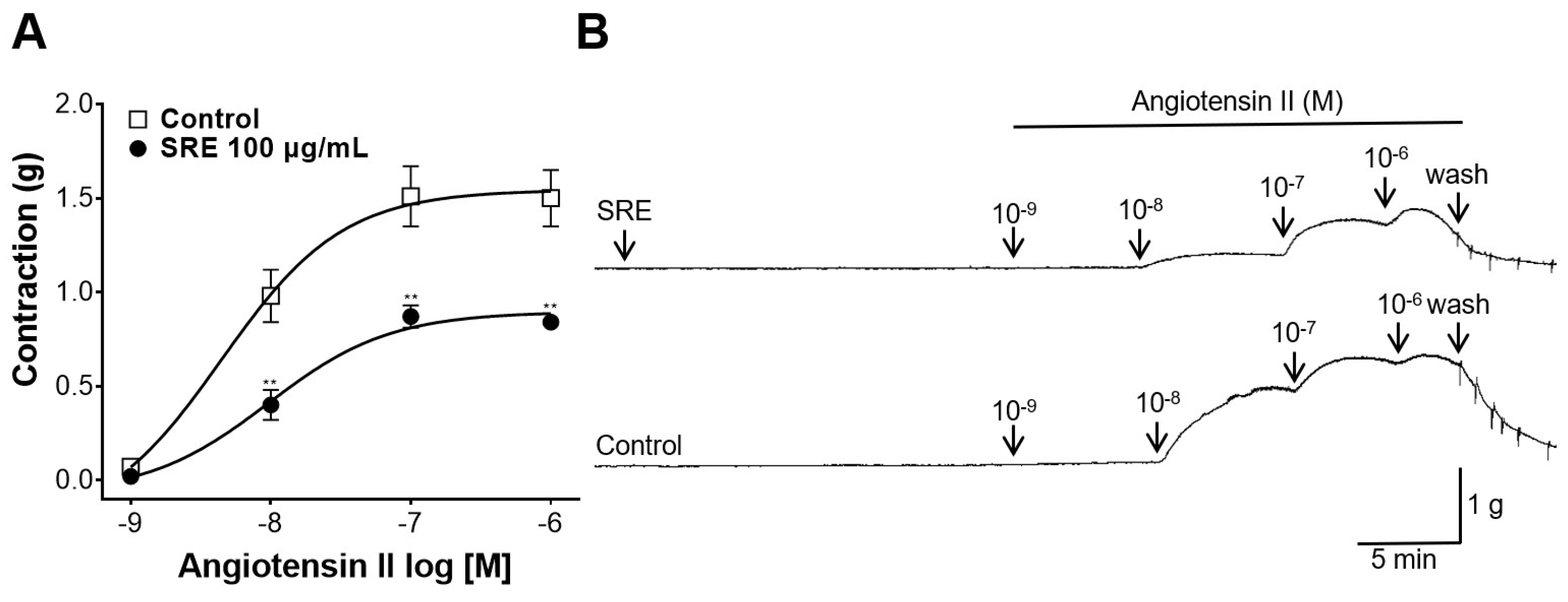 Nutrients 15 04510 g007 Nutrients 15 04510 g007