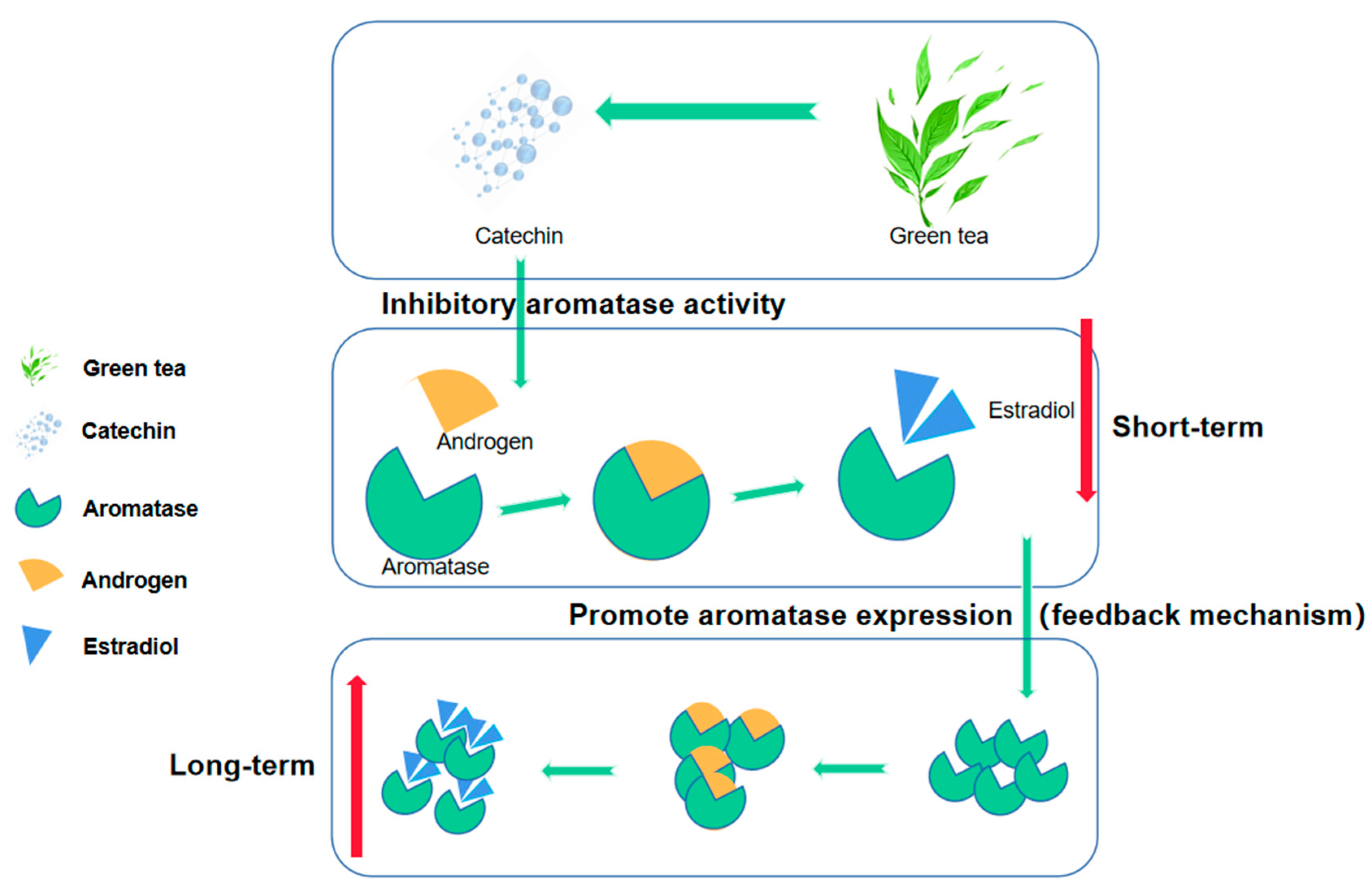 Nutrients 15 04514 g003