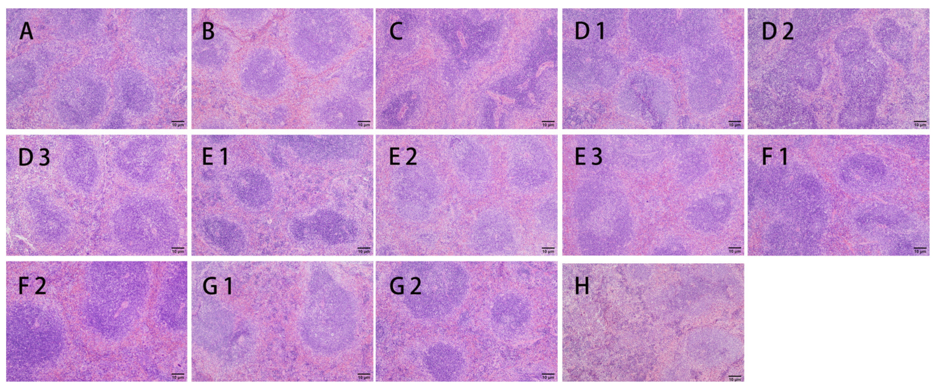 Nutrients 15 04527 g006