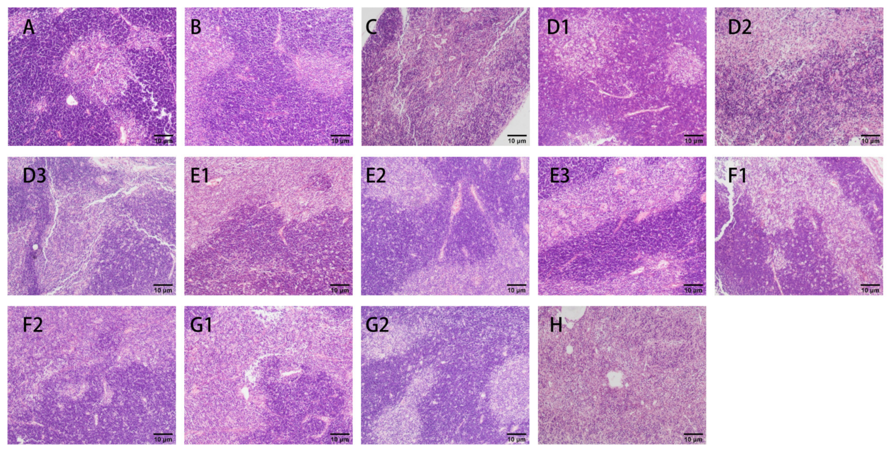 Nutrients 15 04527 g007