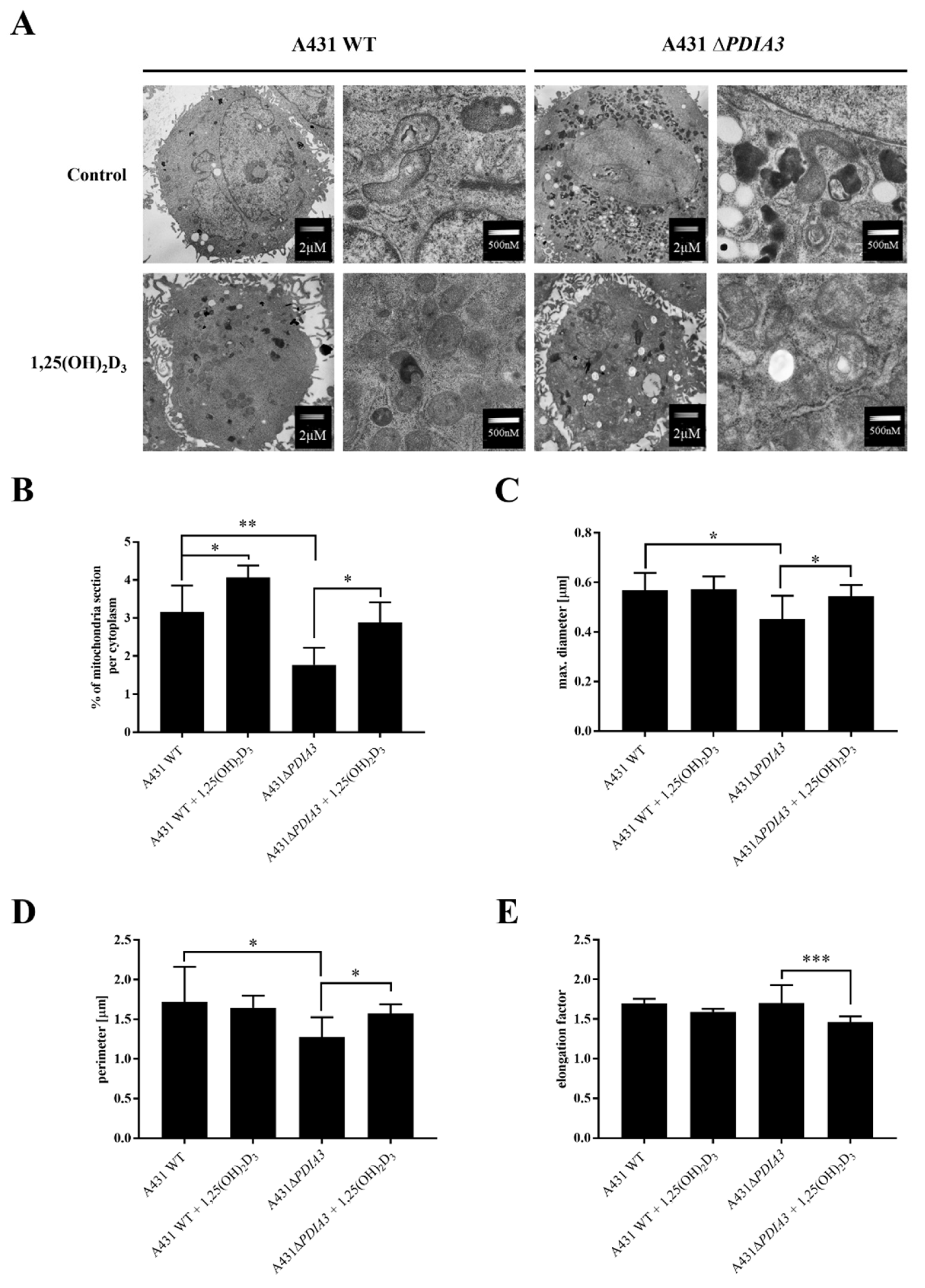 Nutrients 15 04529 g001
