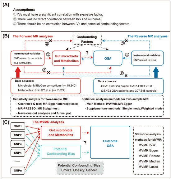 Nutrients 15 04544 g001