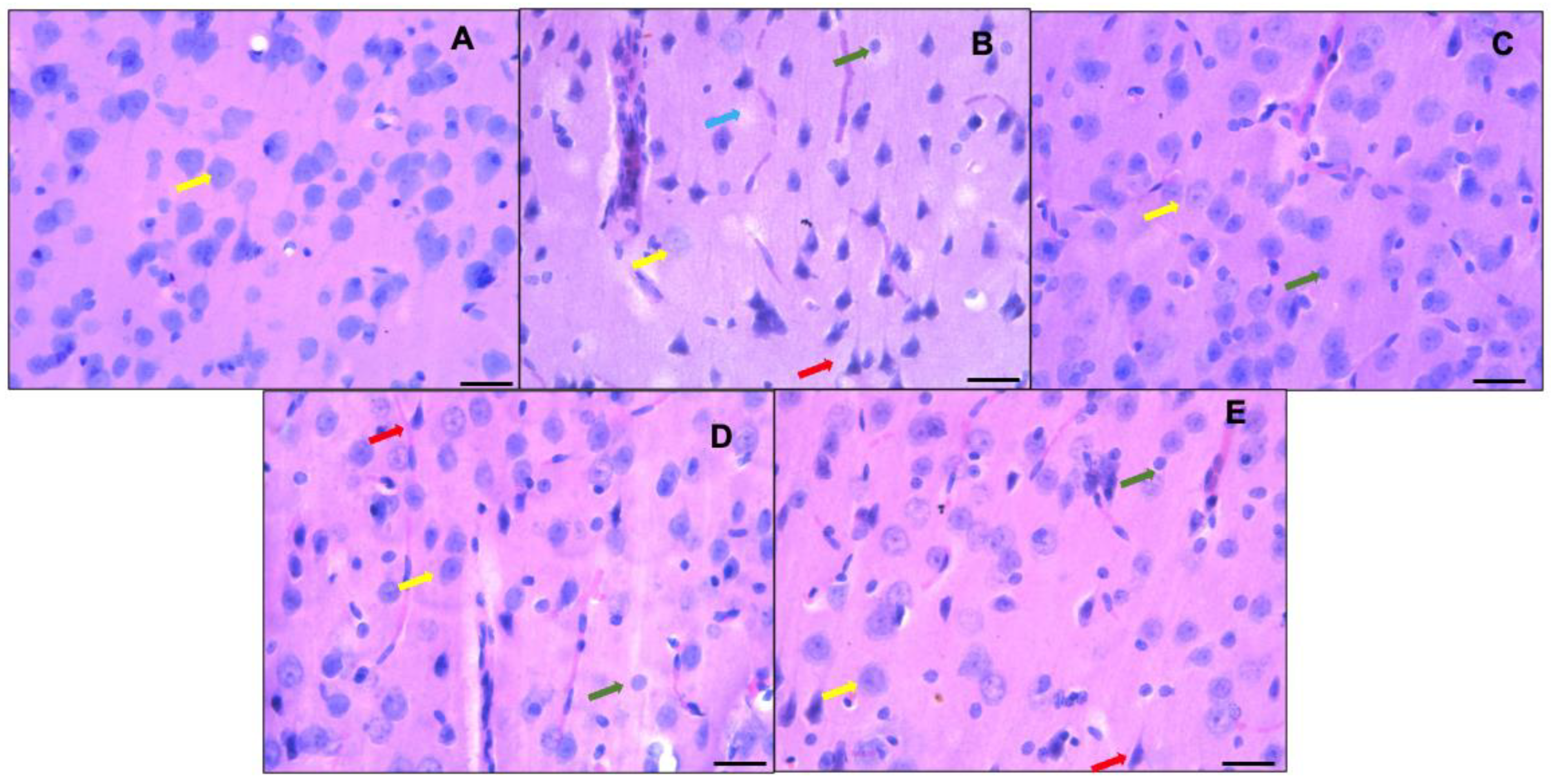 Nutrients 15 04550 g004