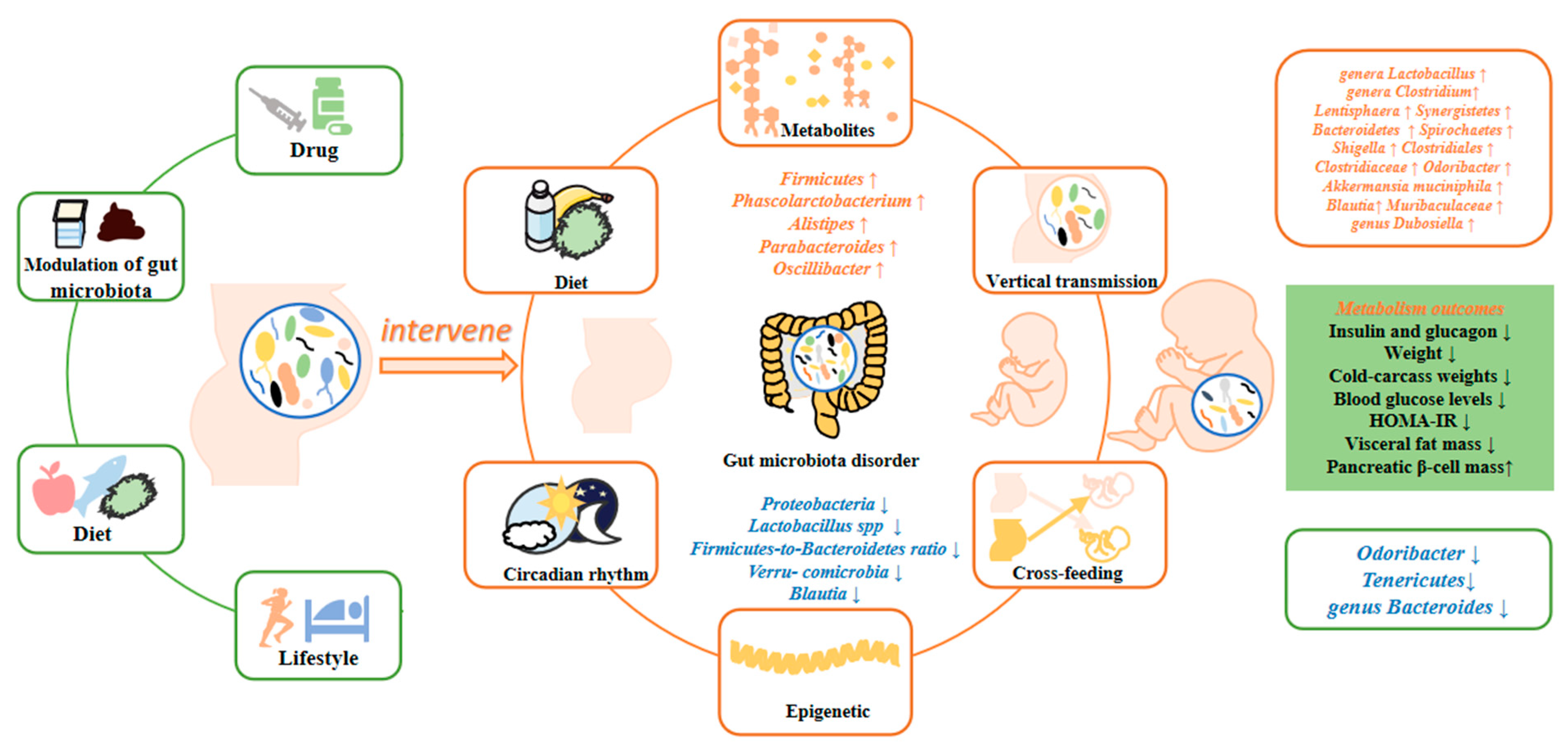 Nutrients 15 04551 g001