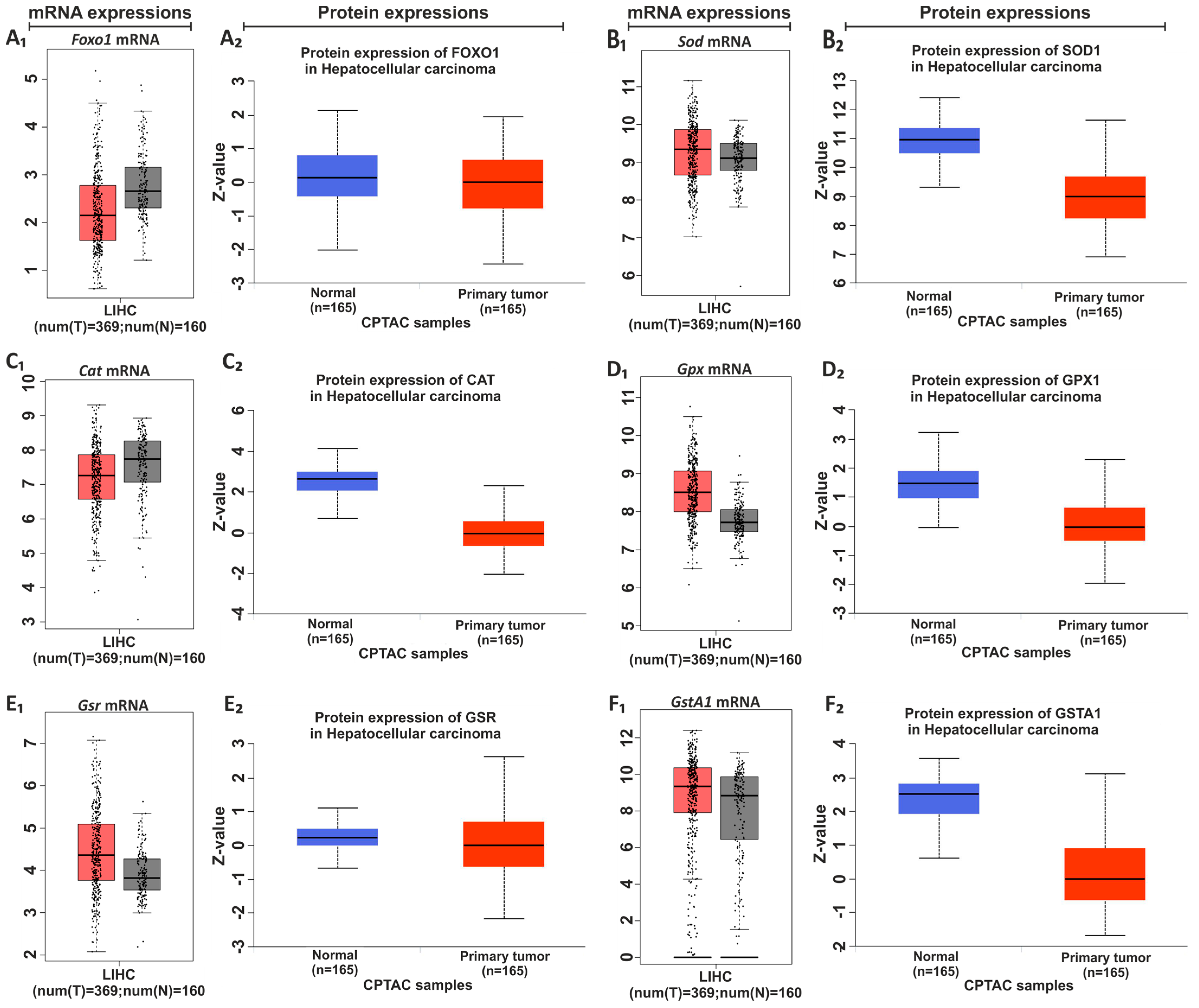 Nutrients 15 04557 g006