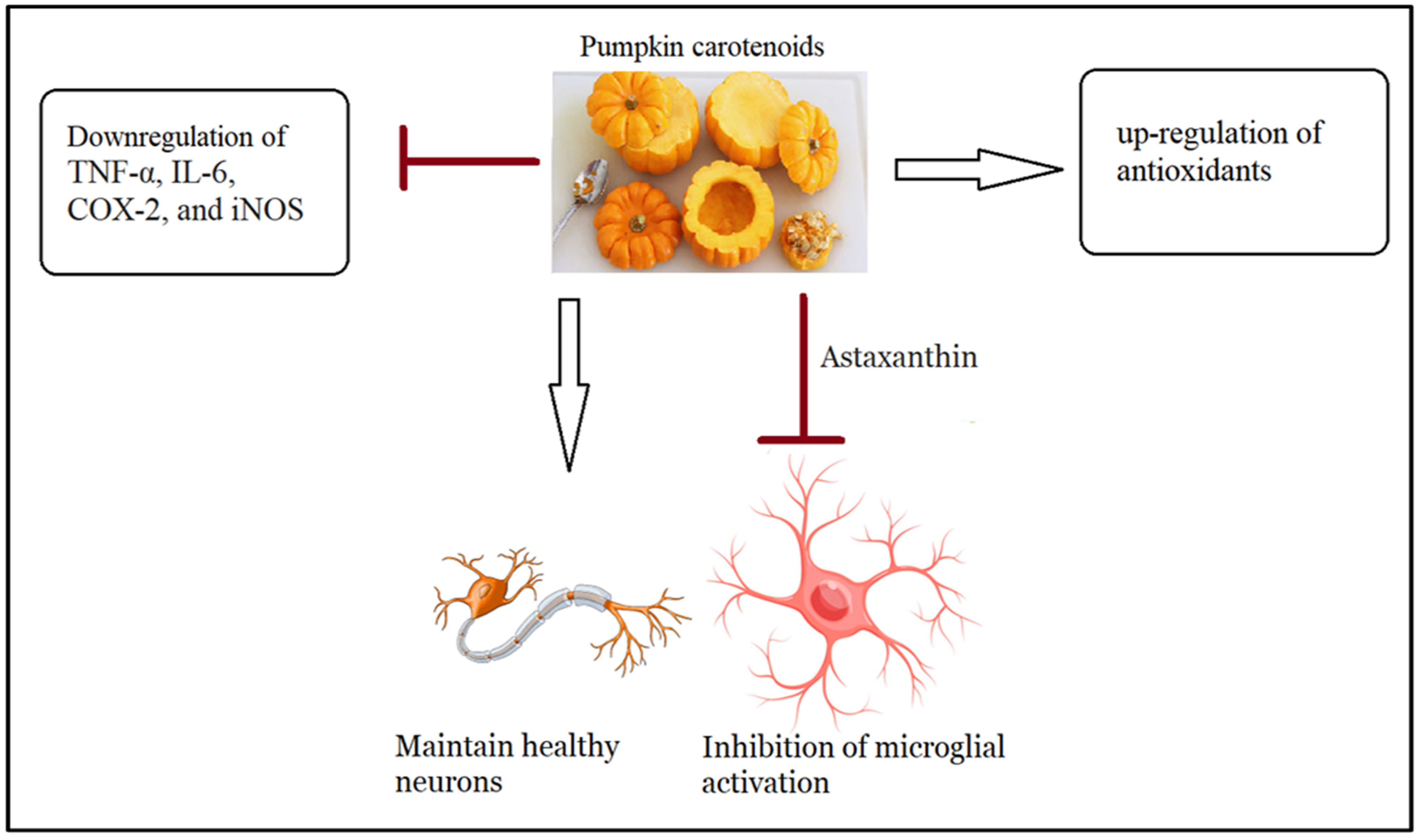 Nutrients 15 04564 g002