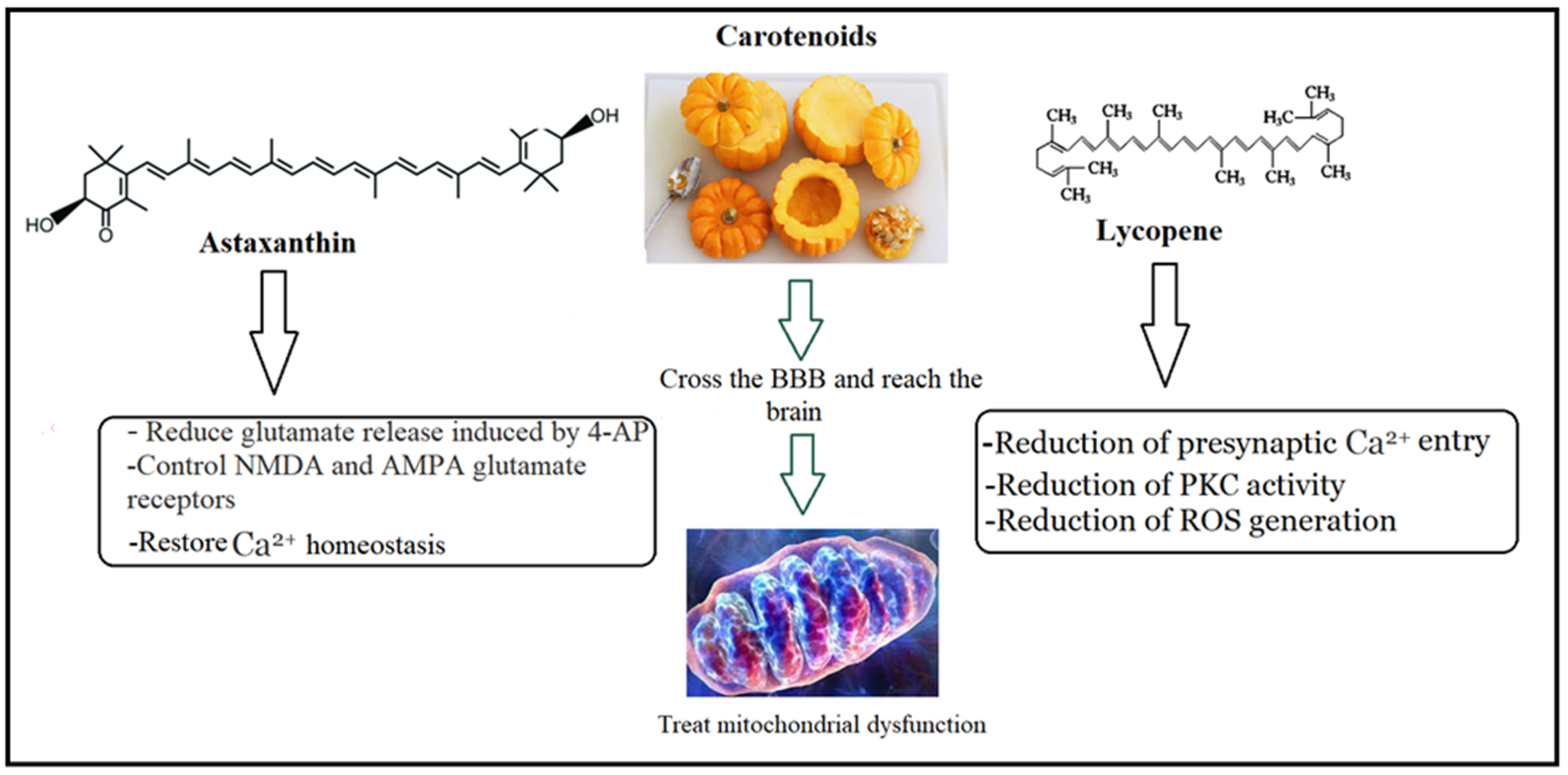 Nutrients 15 04564 g004