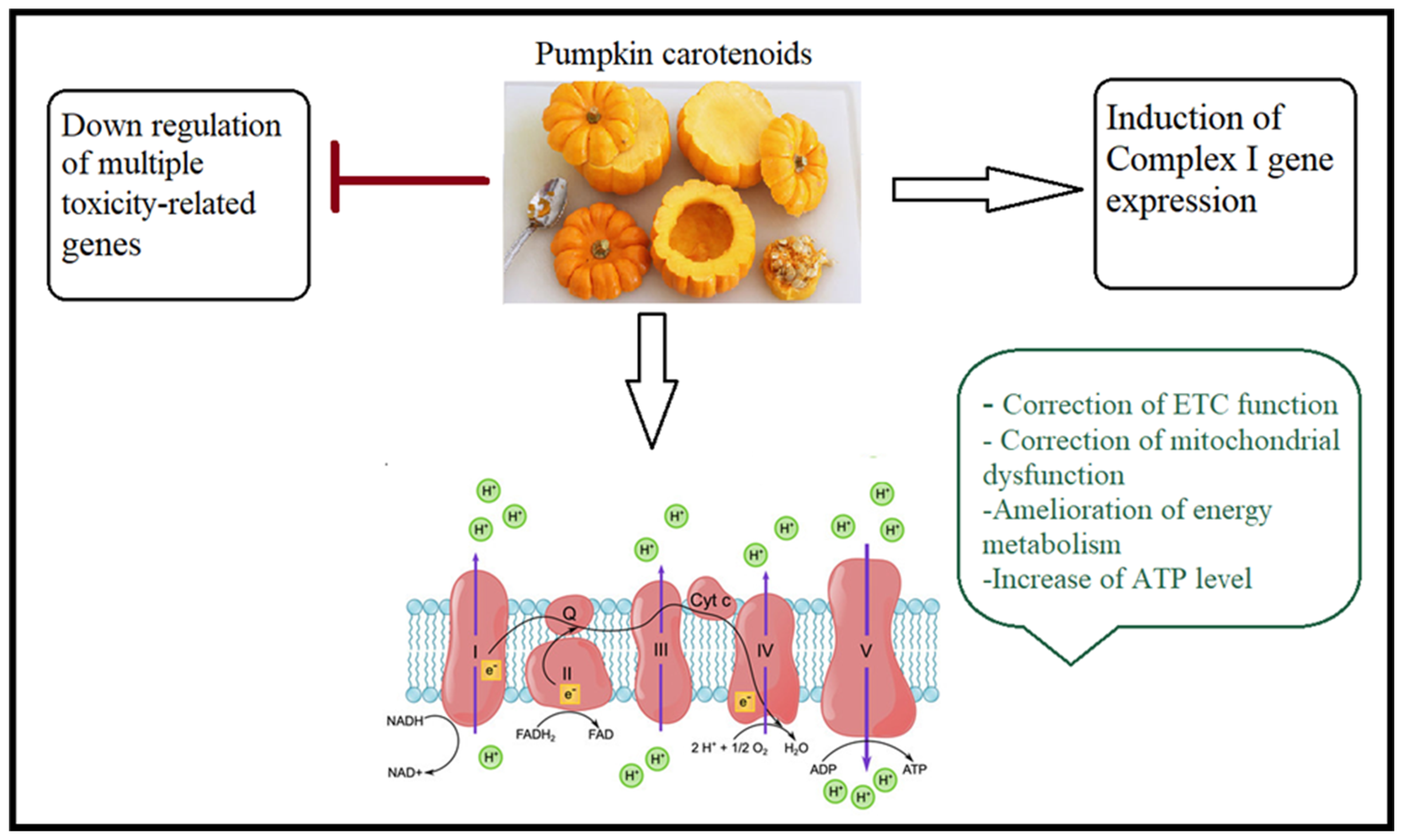 Nutrients 15 04564 g006