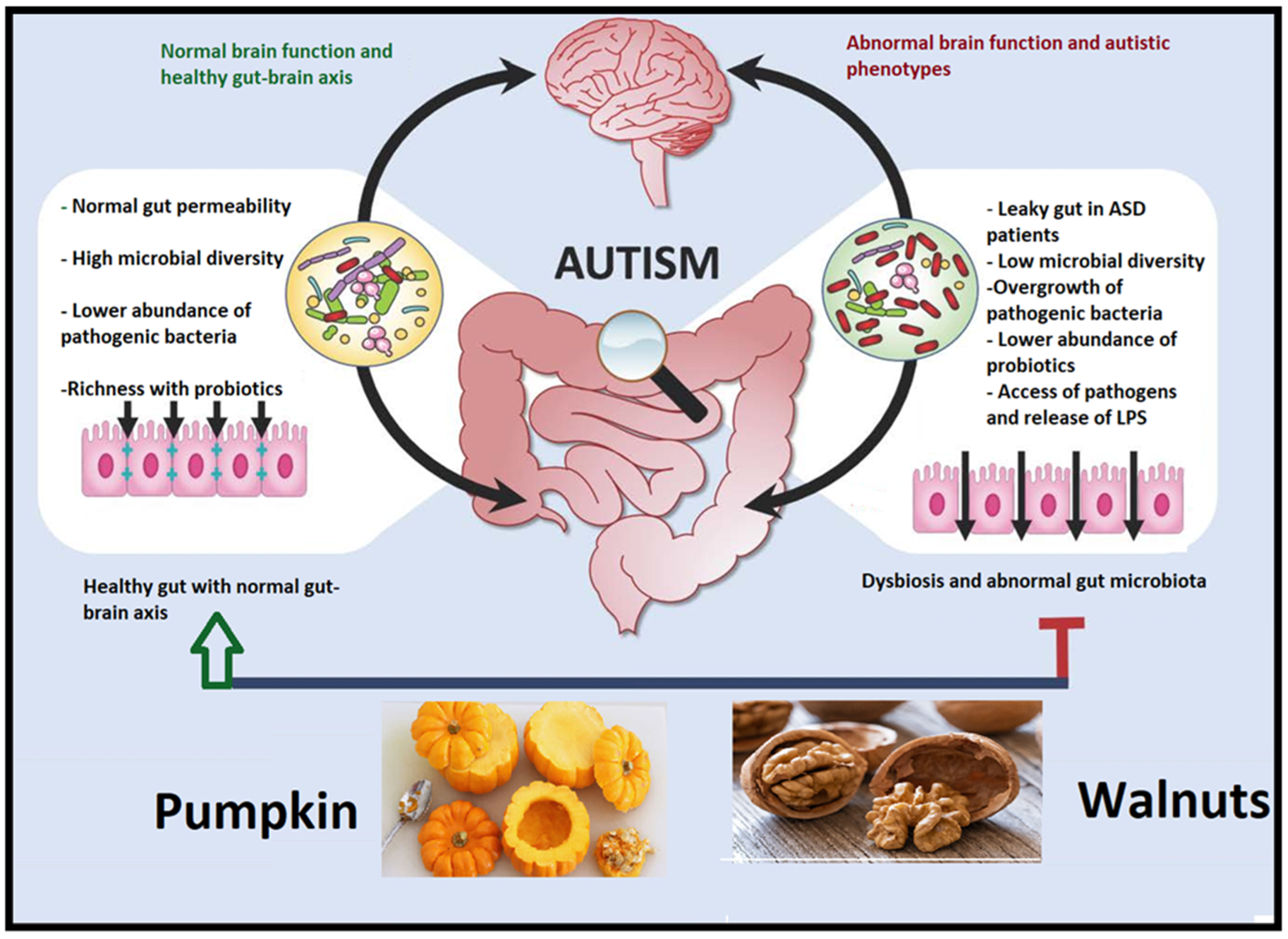 Nutrients 15 04564 g007