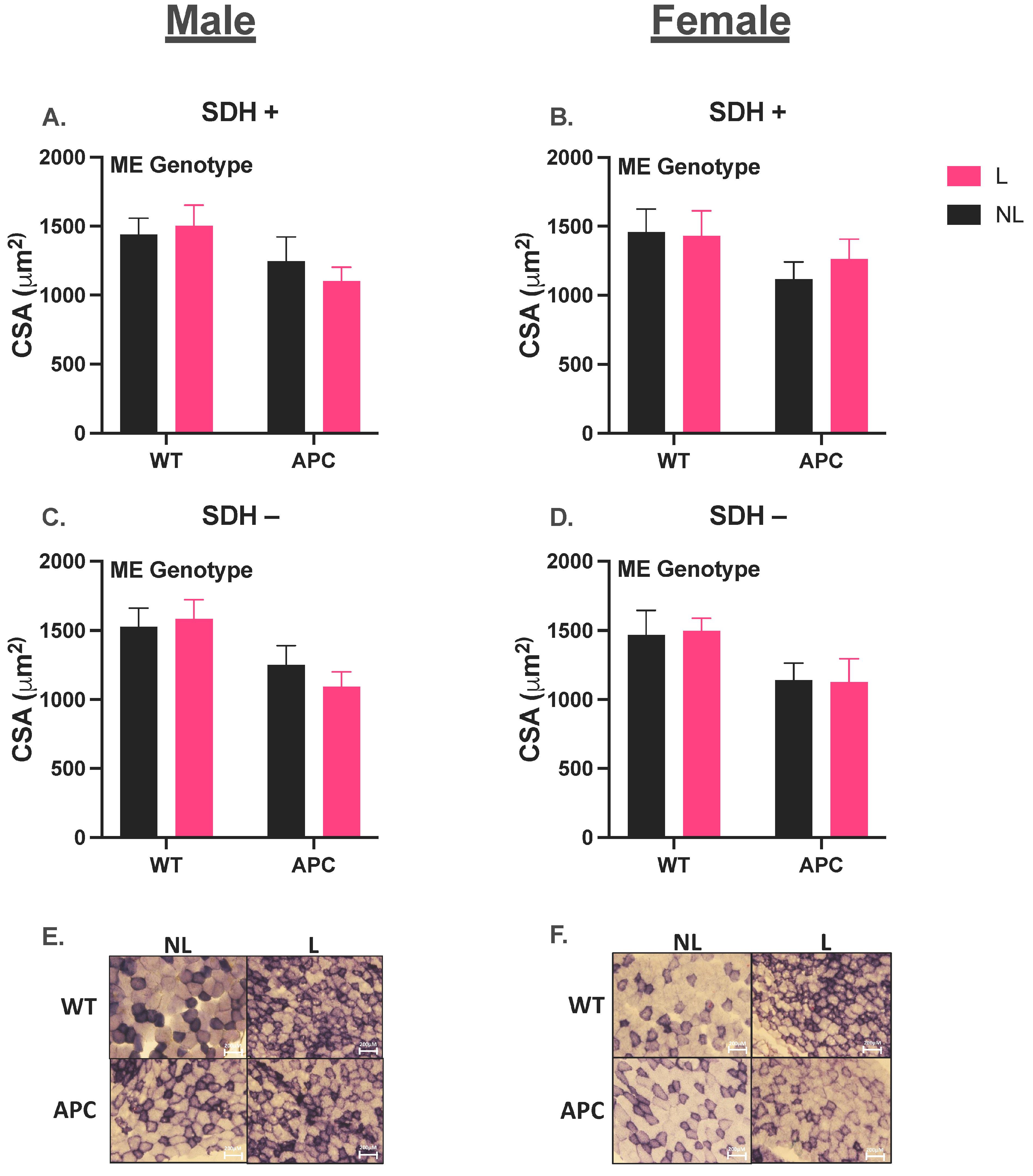 Nutrients 15 04570 g002