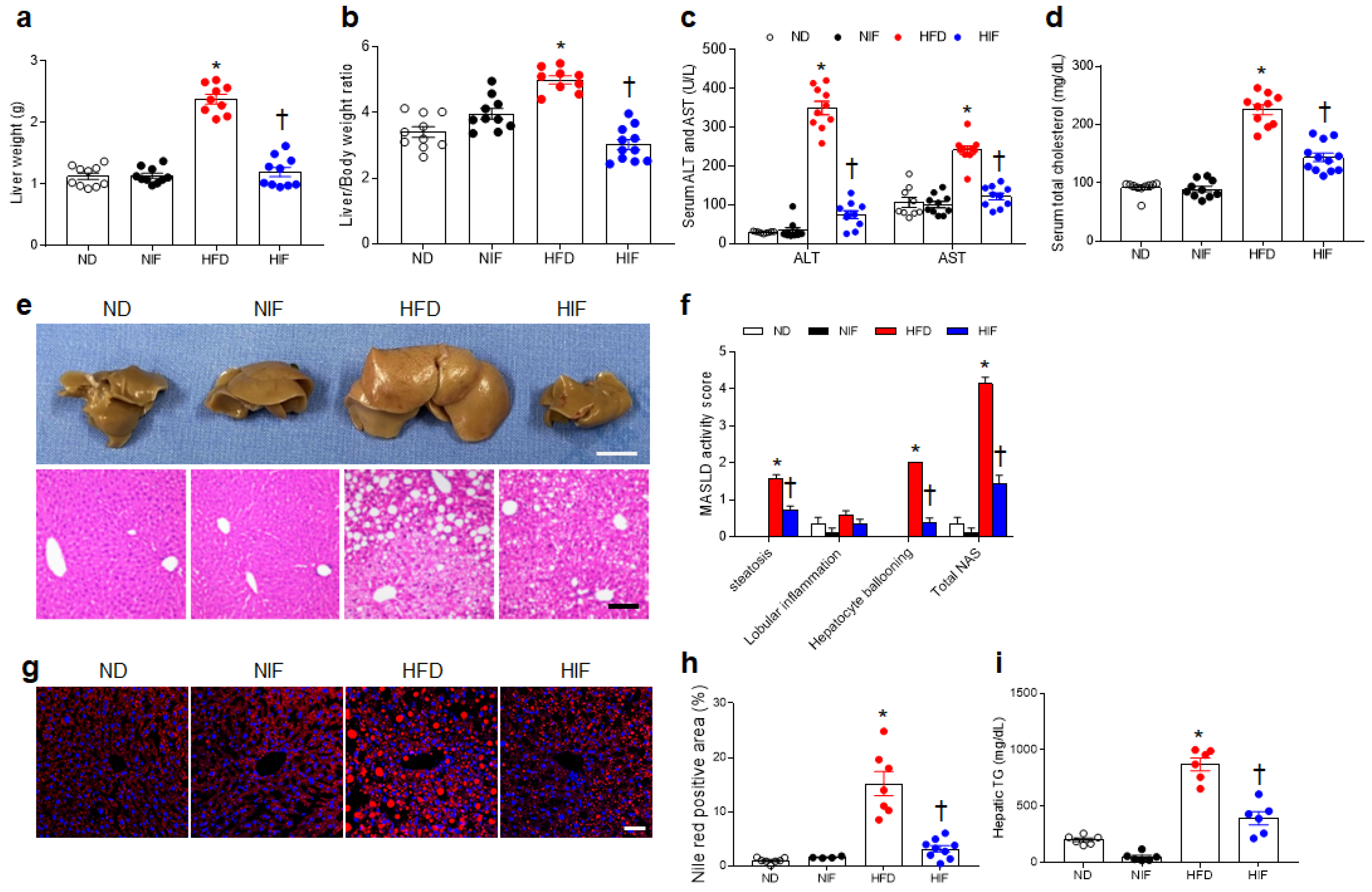 Nutrients 15 04574 g001