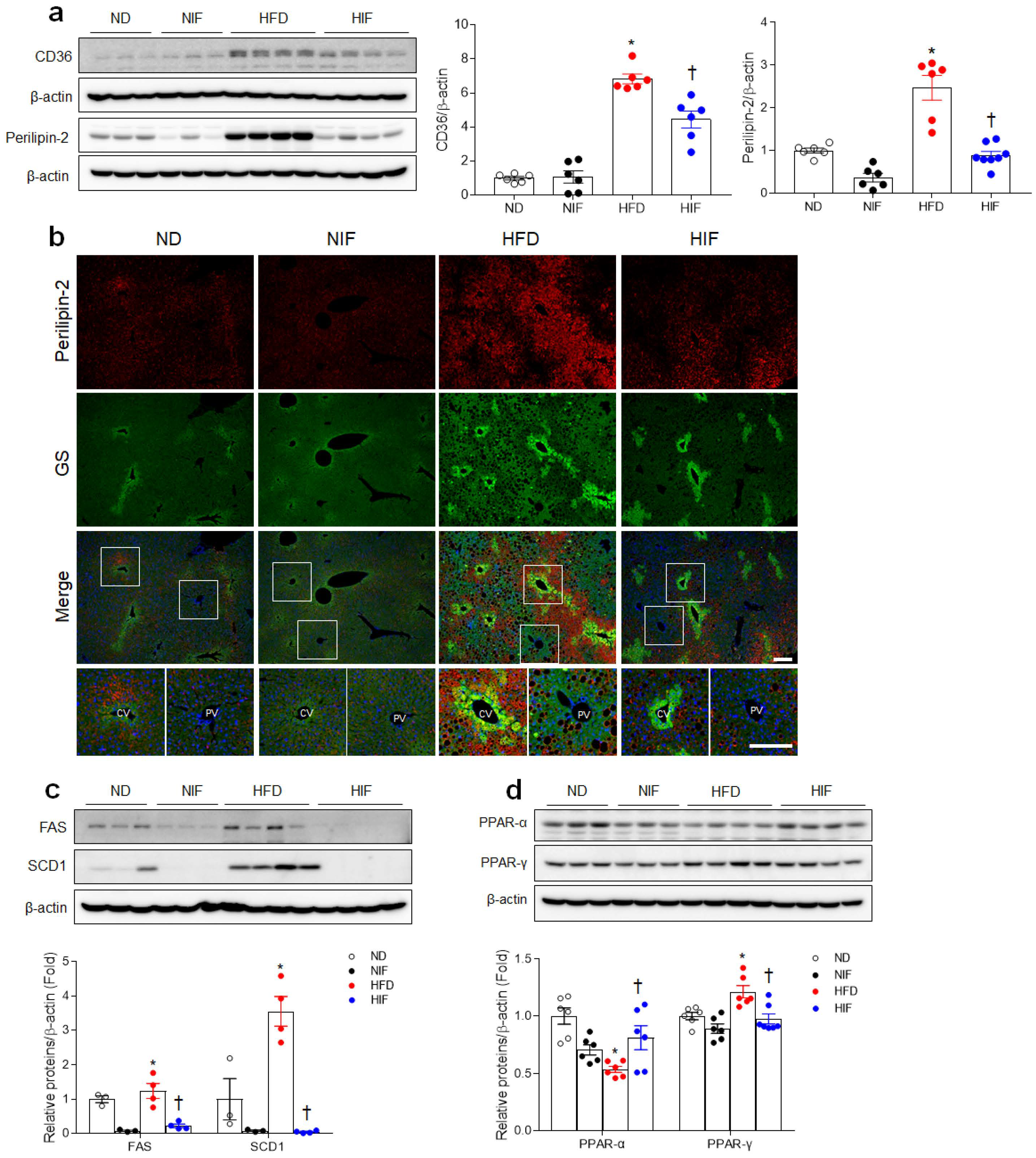 Nutrients 15 04574 g002