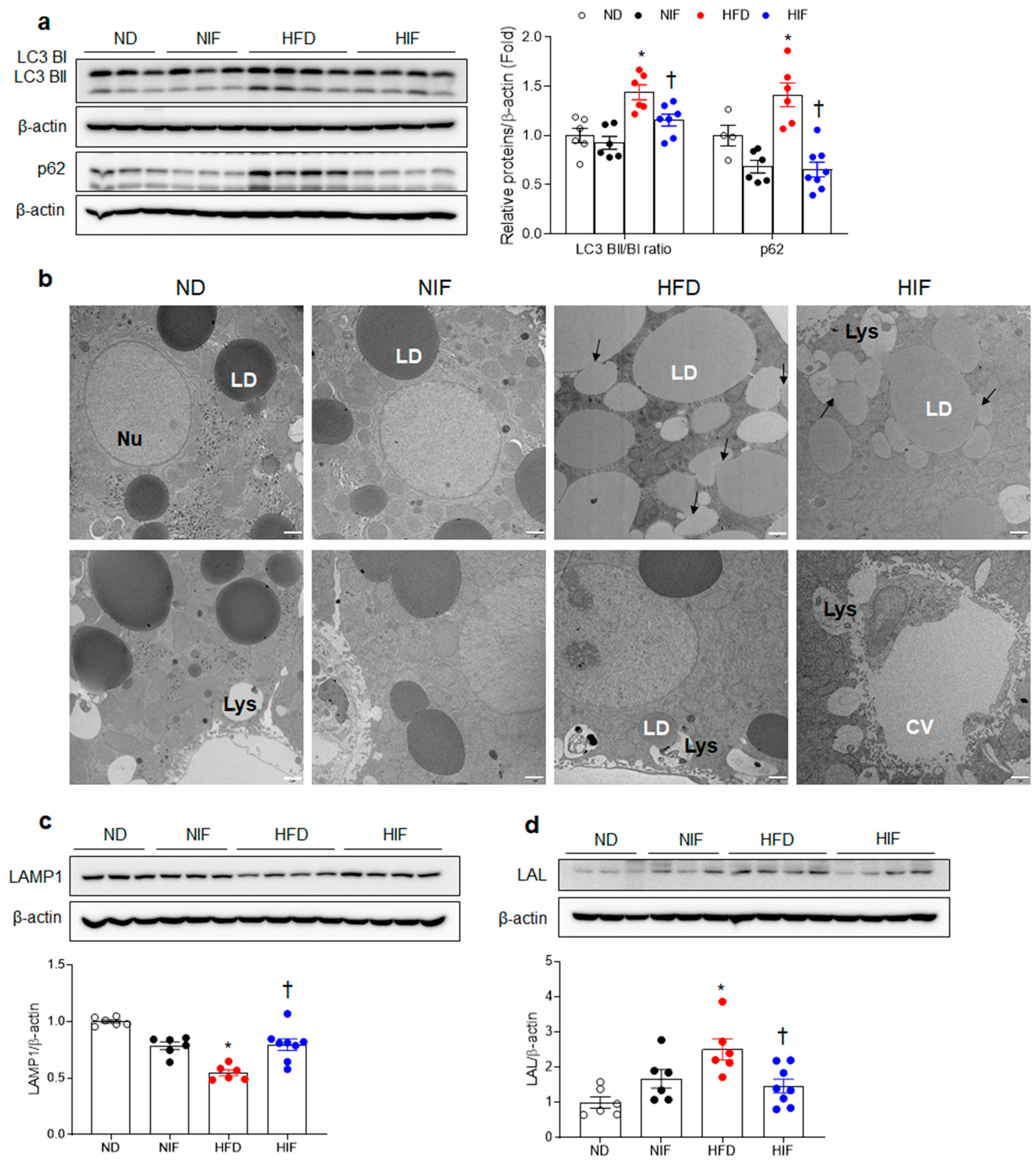 Nutrients 15 04574 g004