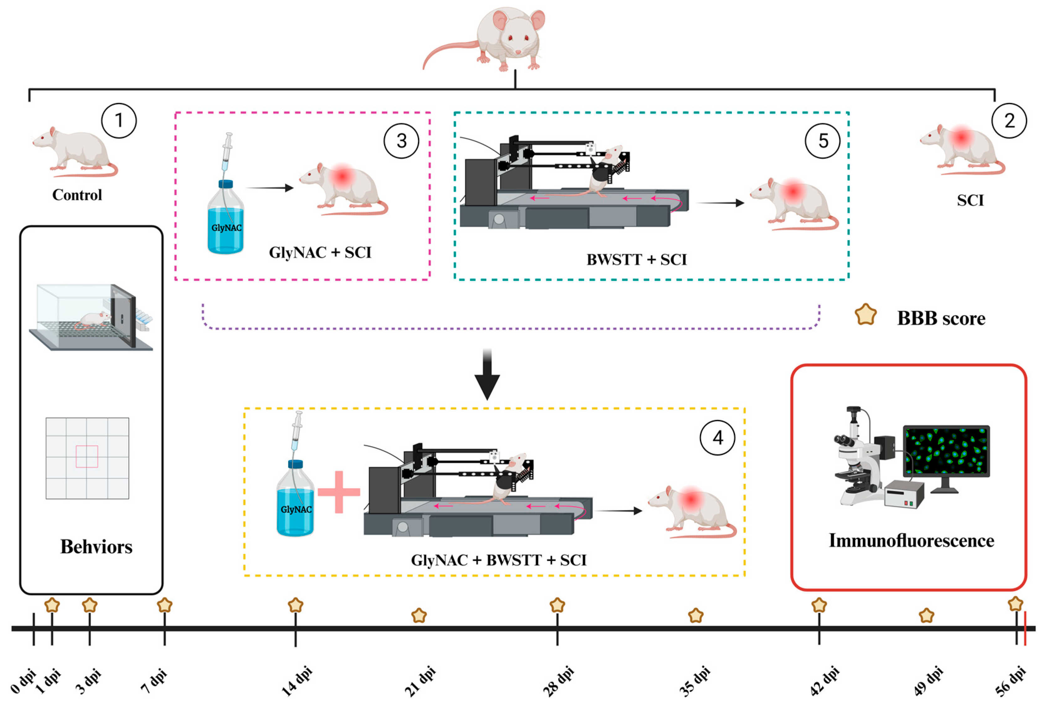 Nutrients 15 04578 g001
