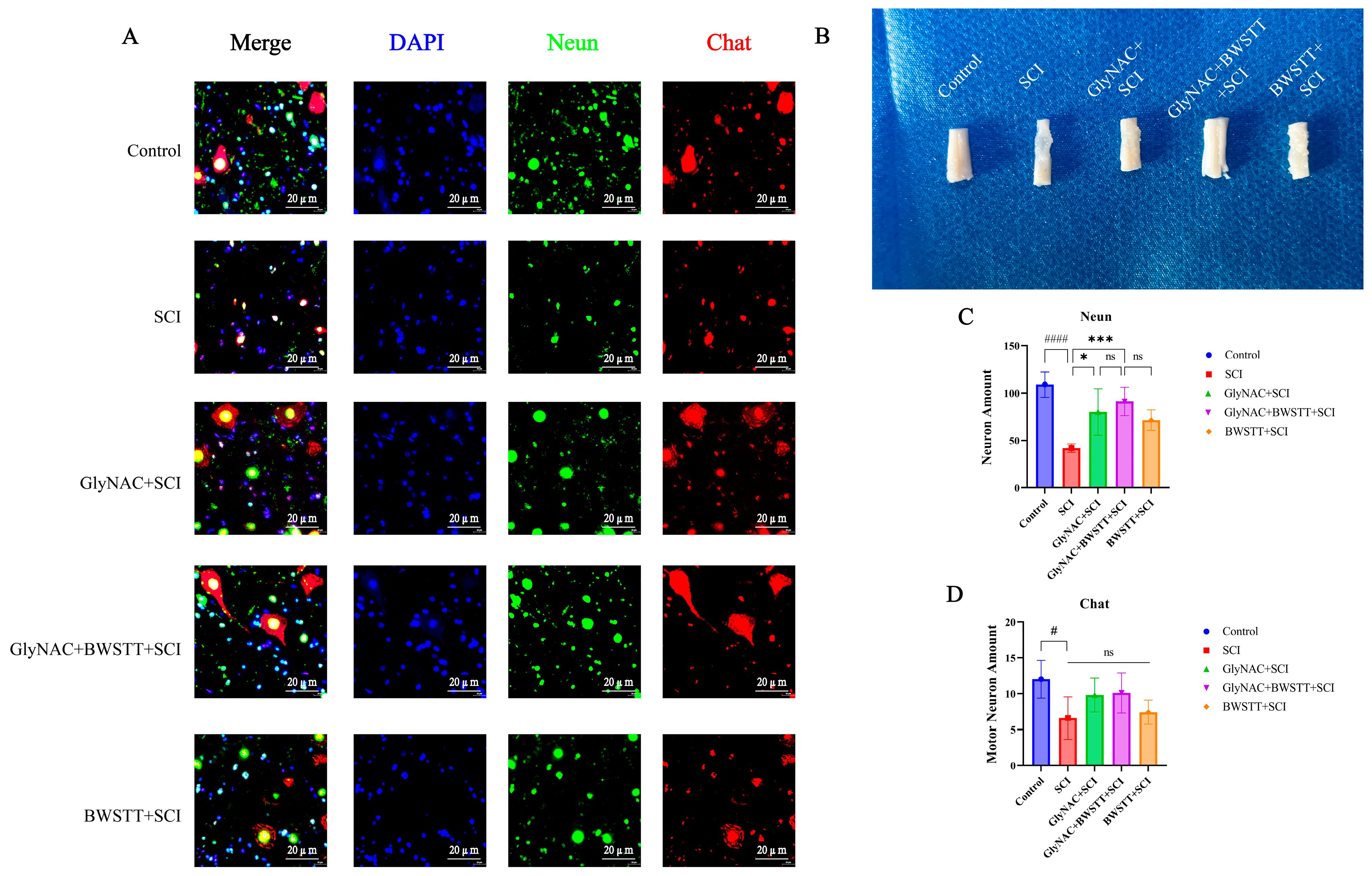 Nutrients 15 04578 g005