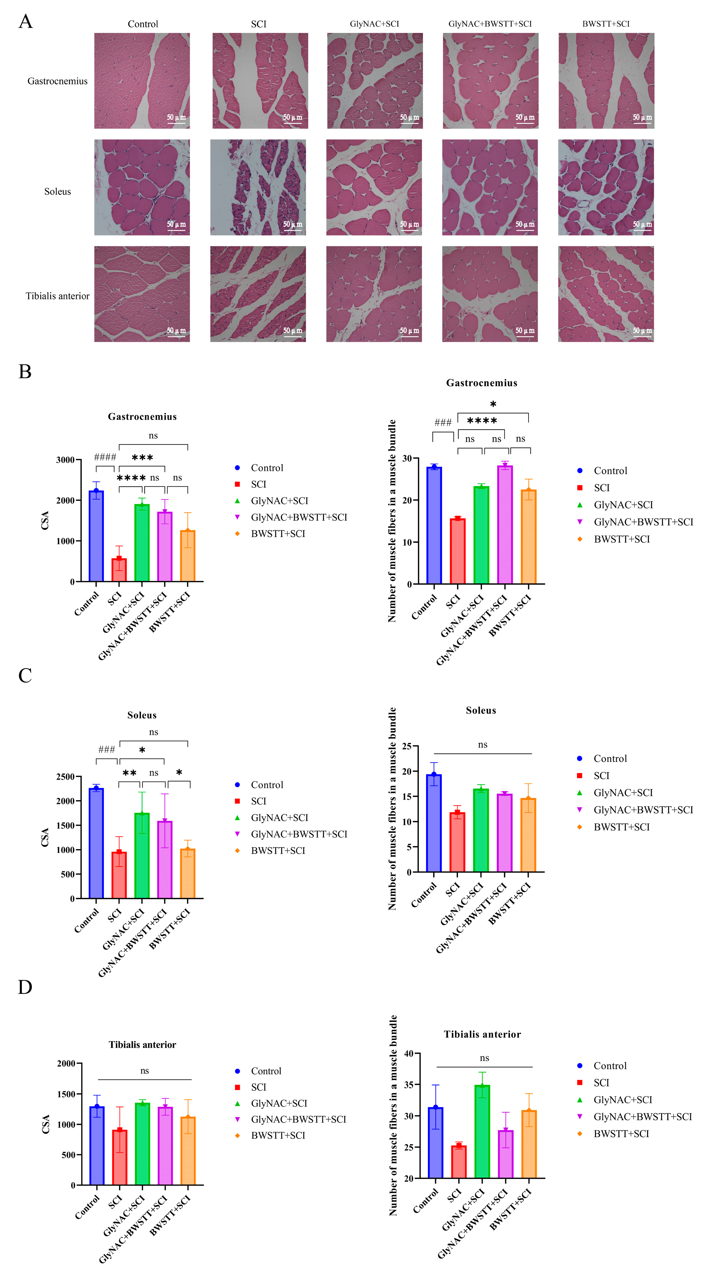 Nutrients 15 04578 g006