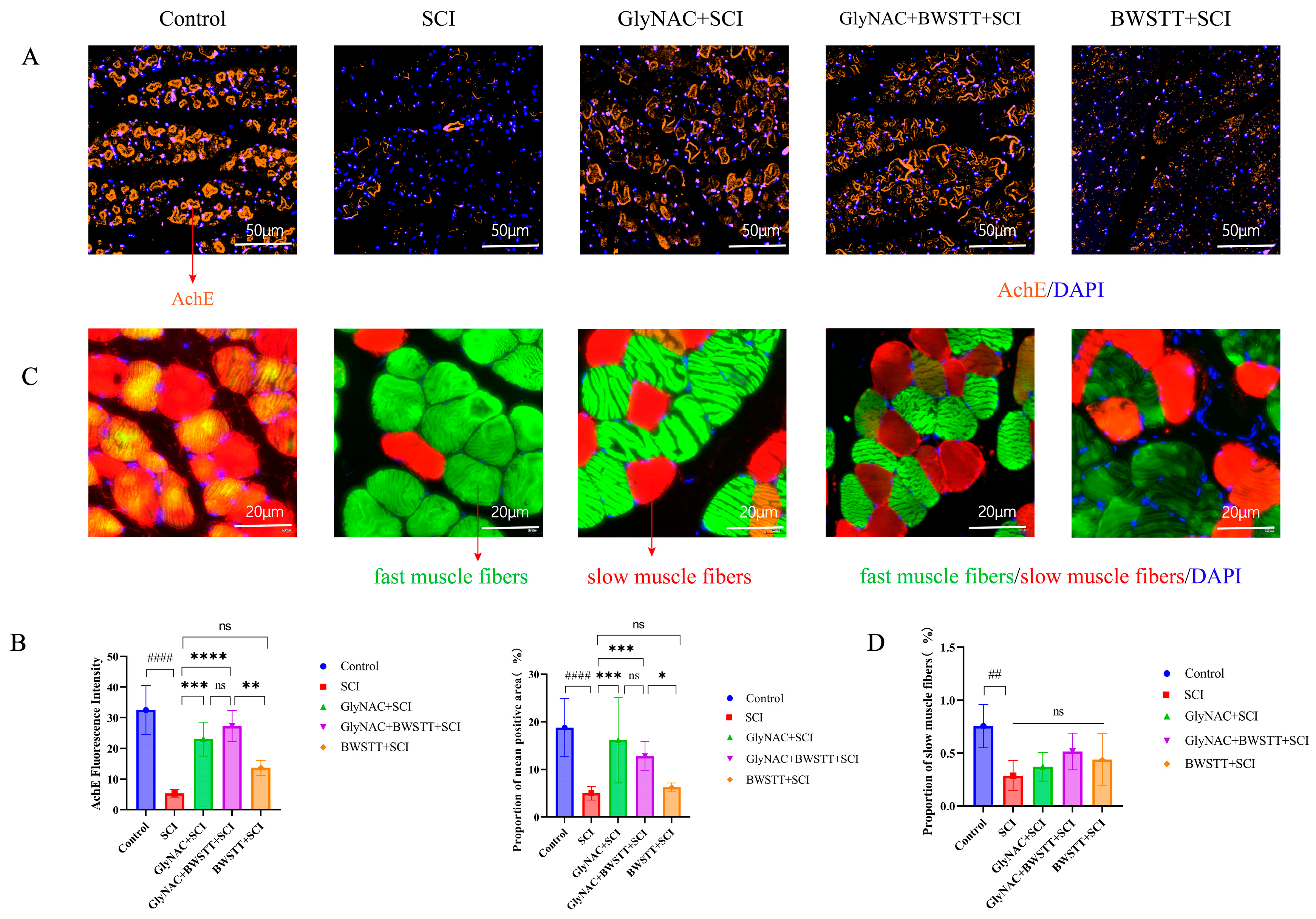 Nutrients 15 04578 g007