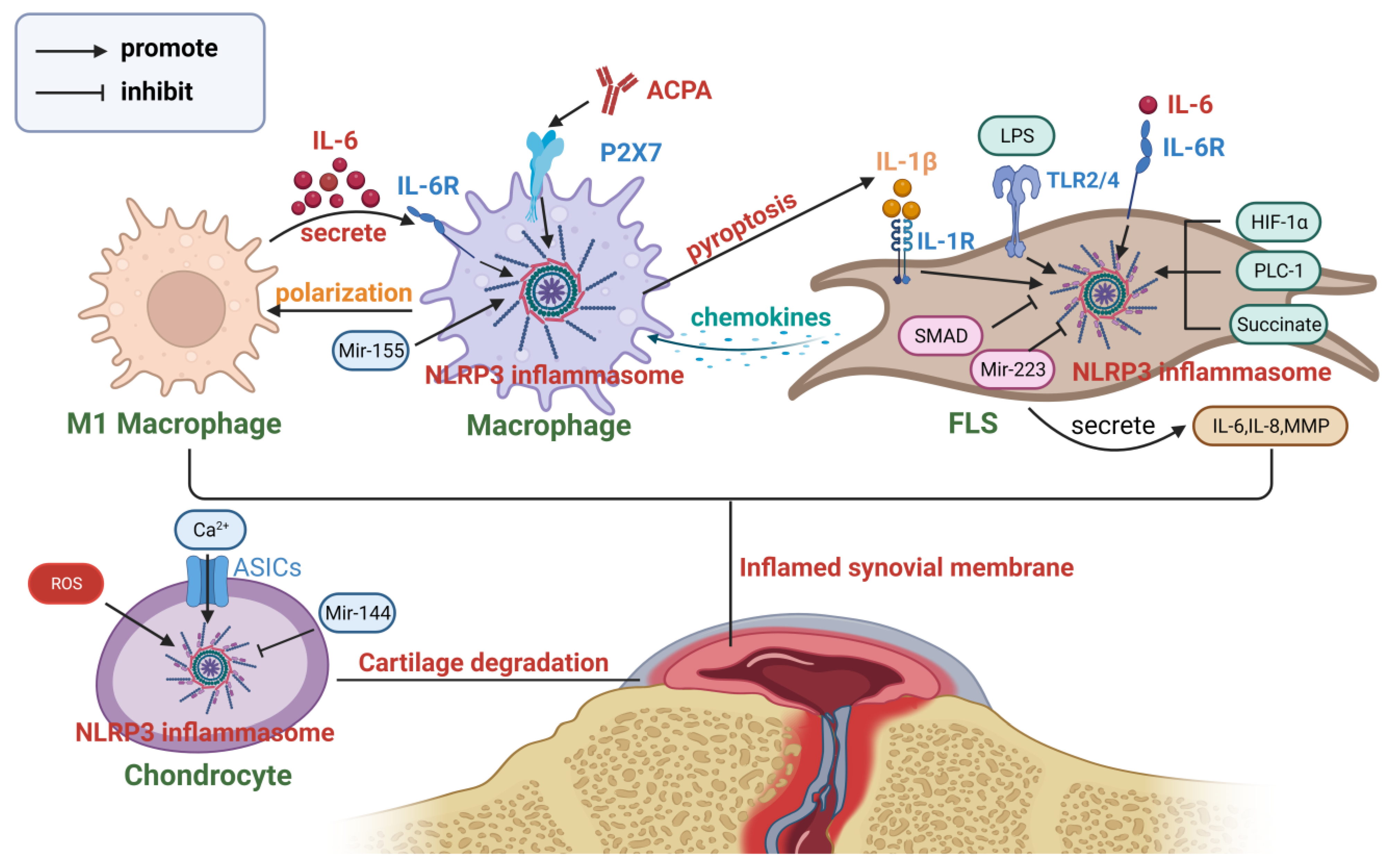 Nutrients 15 04584 g003