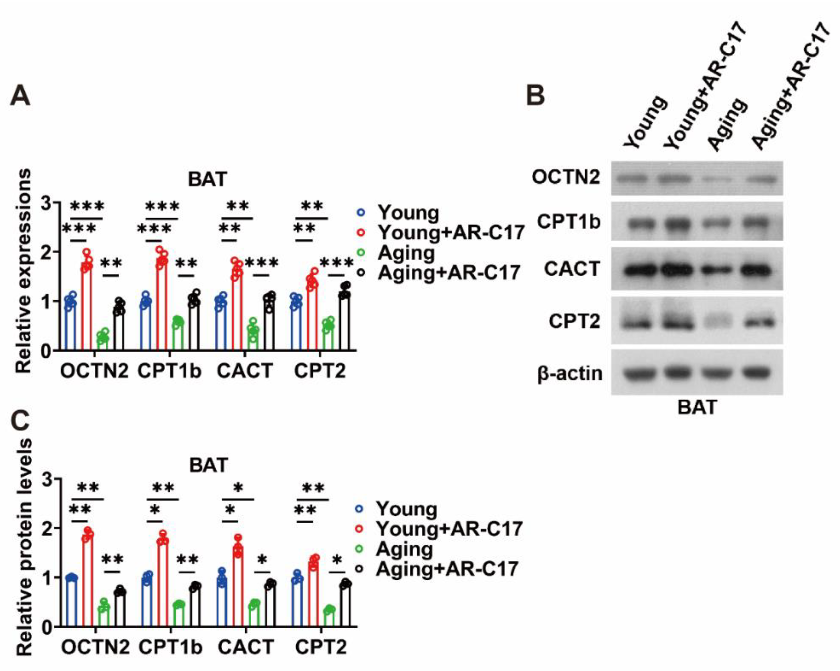Nutrients 15 04597 g004