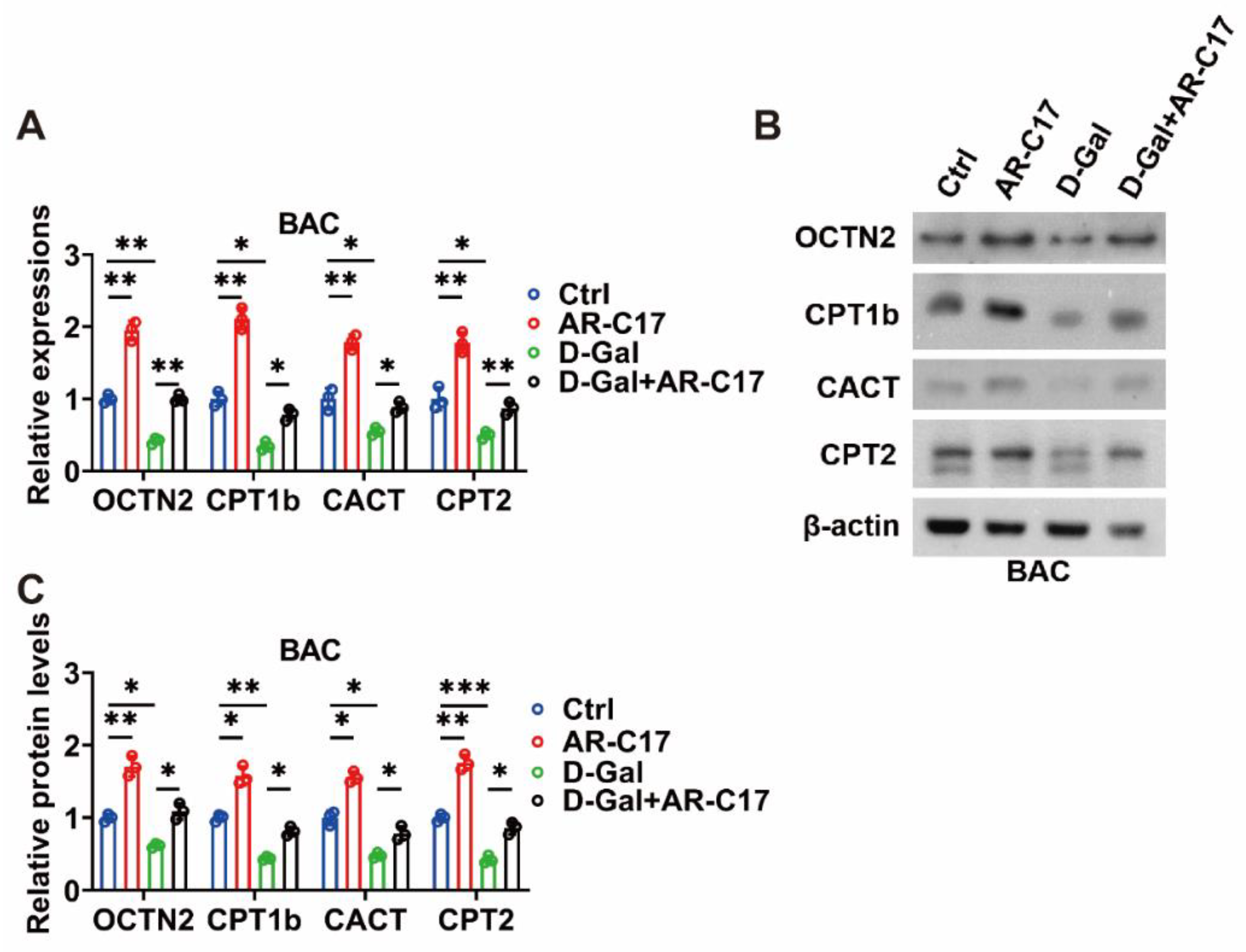 Nutrients 15 04597 g005