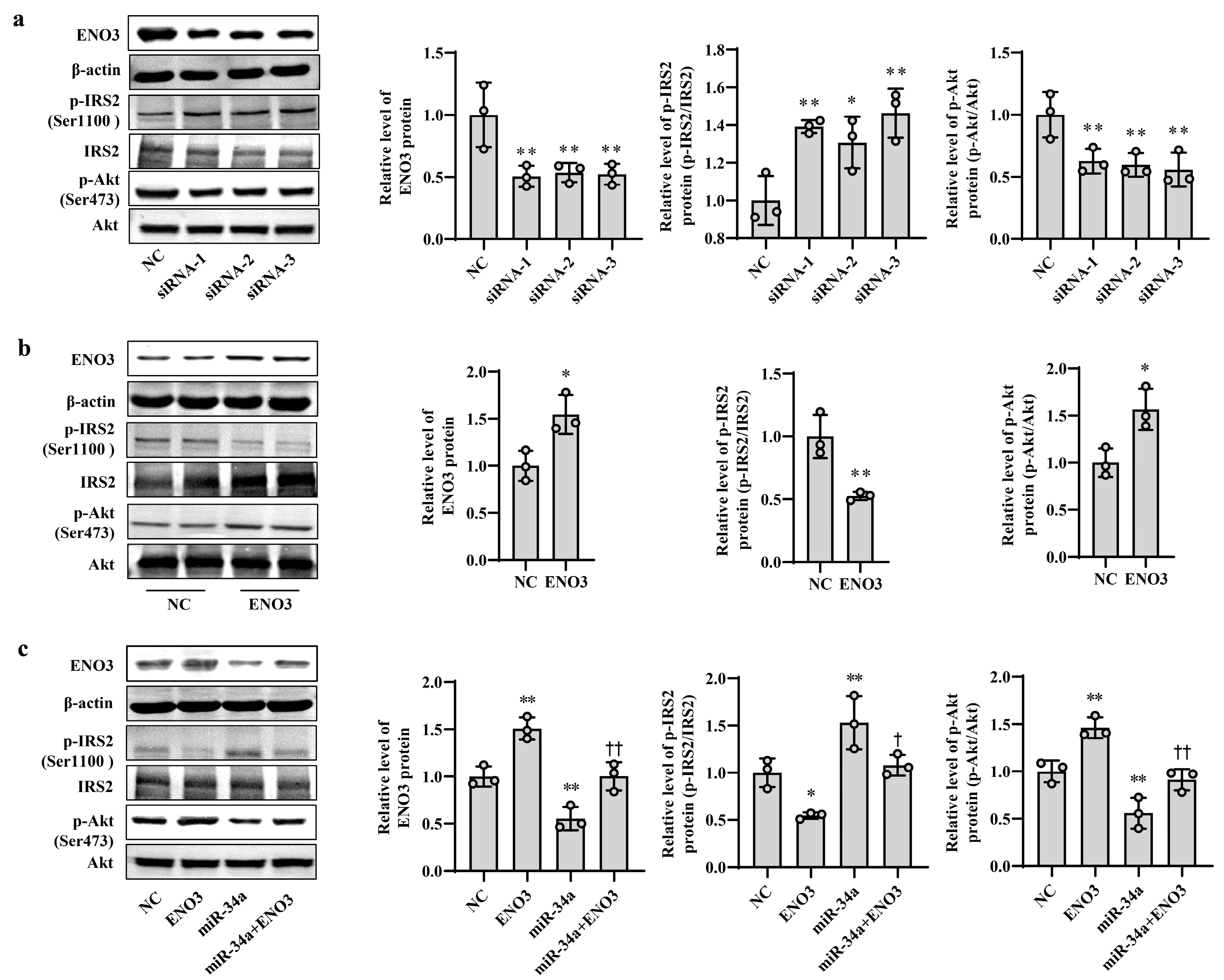 Nutrients 15 04616 g004