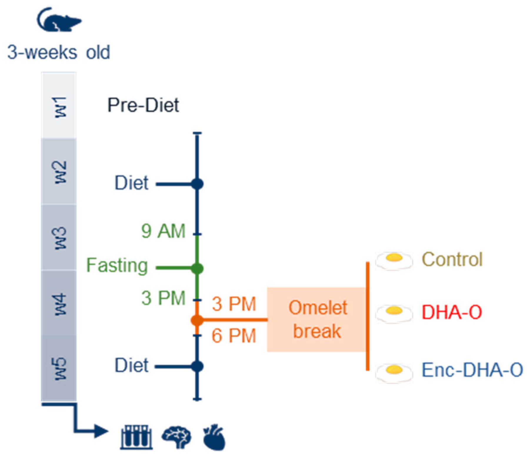 Nutrients 15 04622 g001