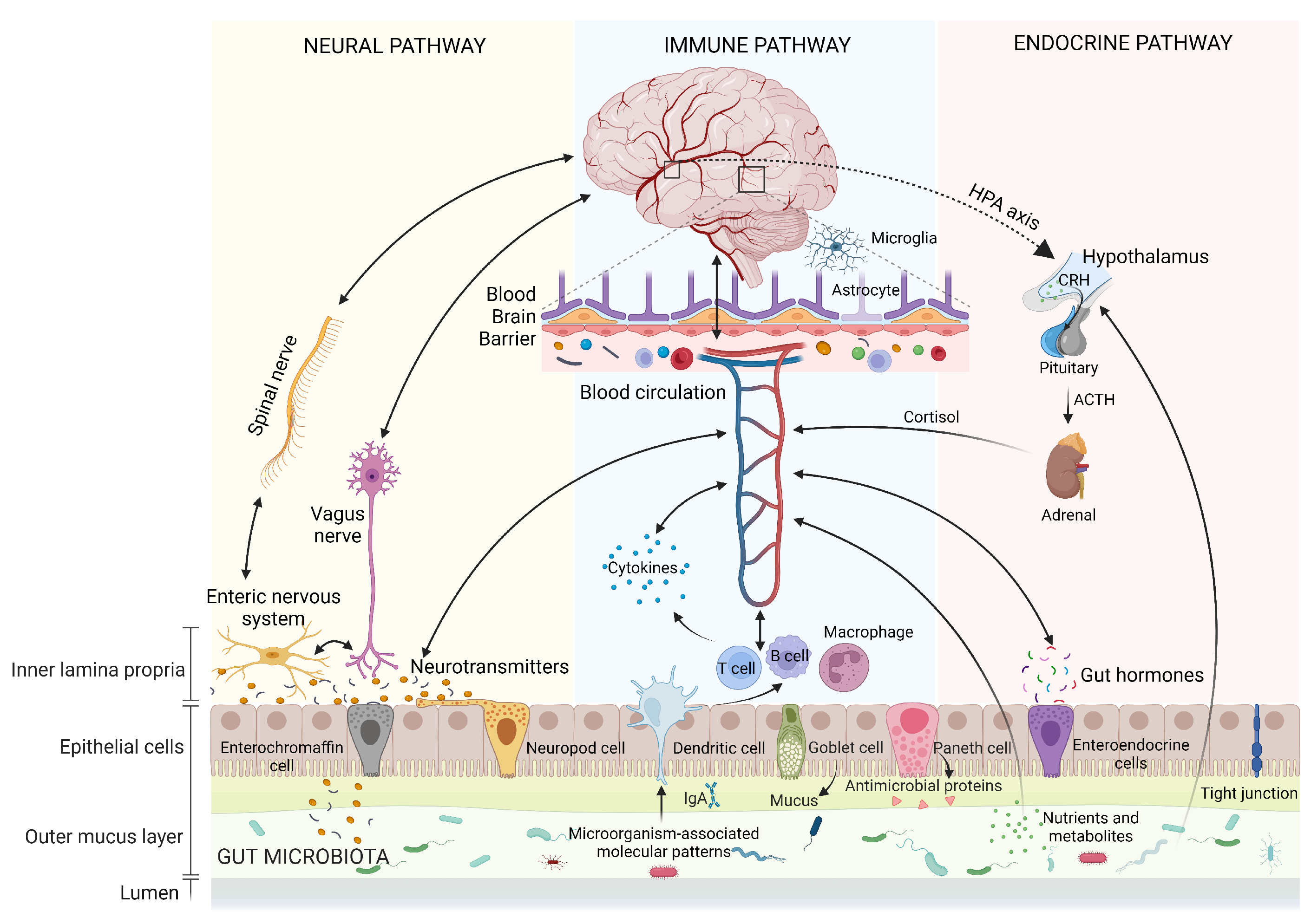 Nutrients 15 04631 g001