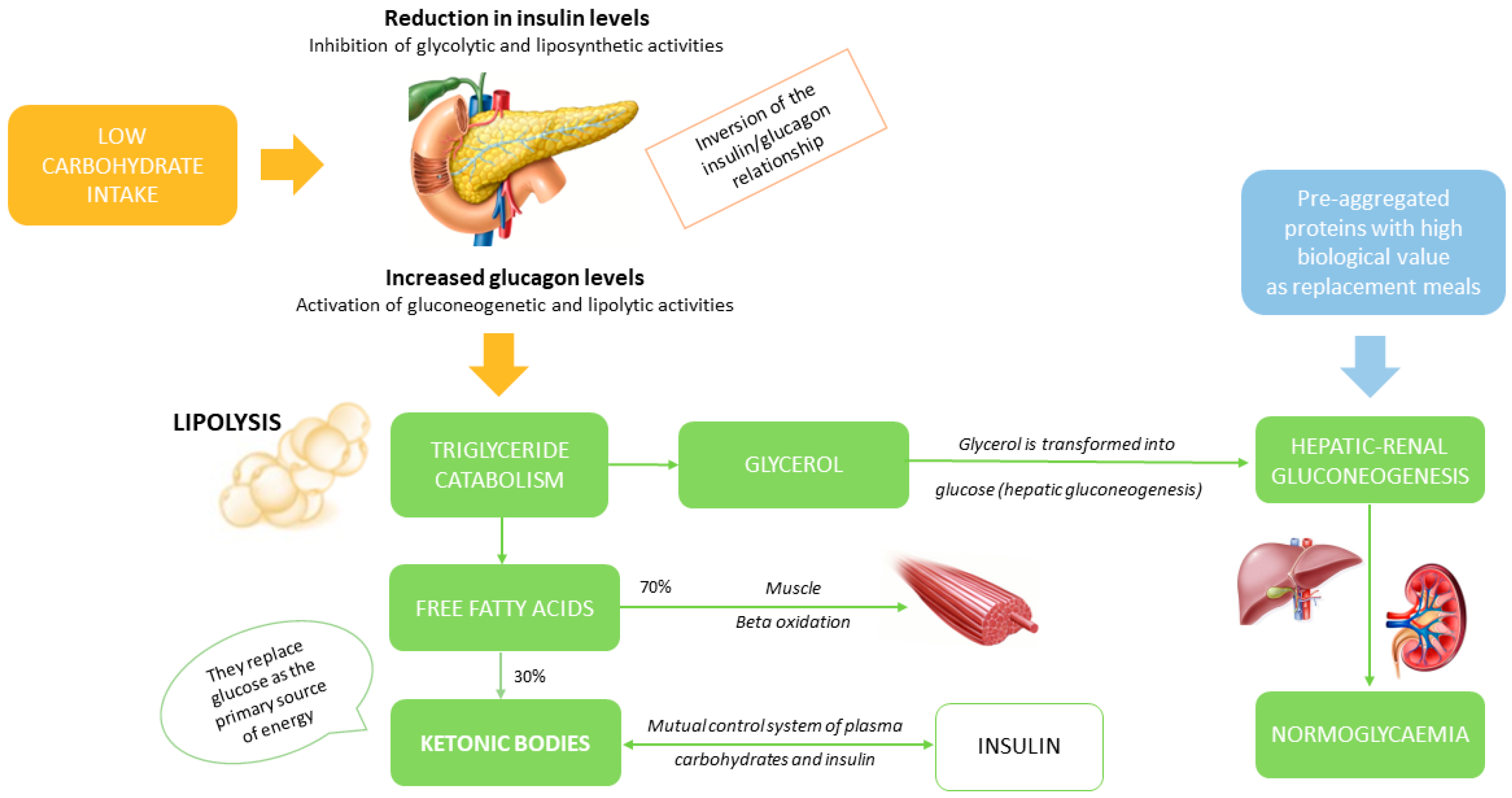 Nutrients 15 04647 g001