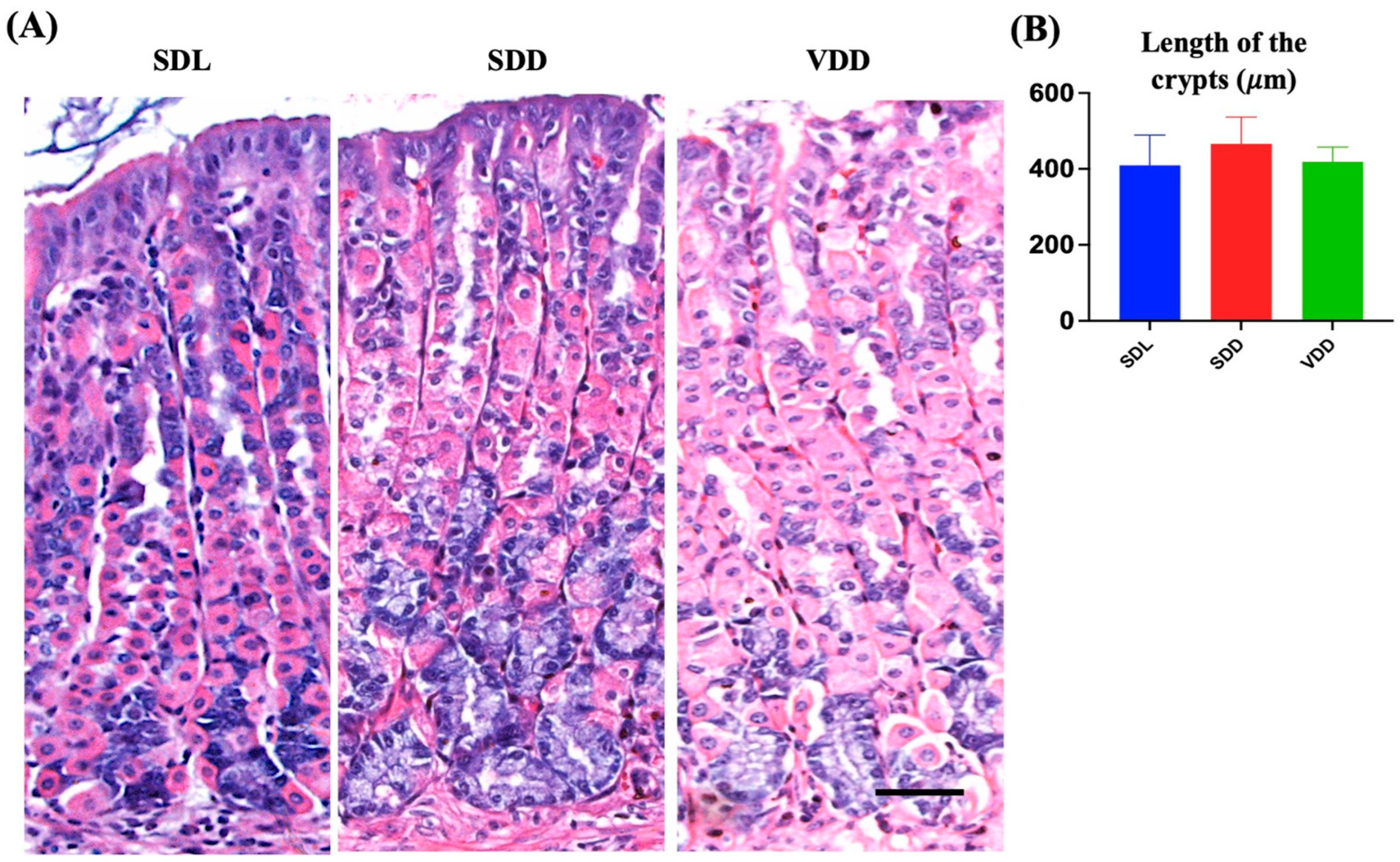 Nutrients 15 04648 g003