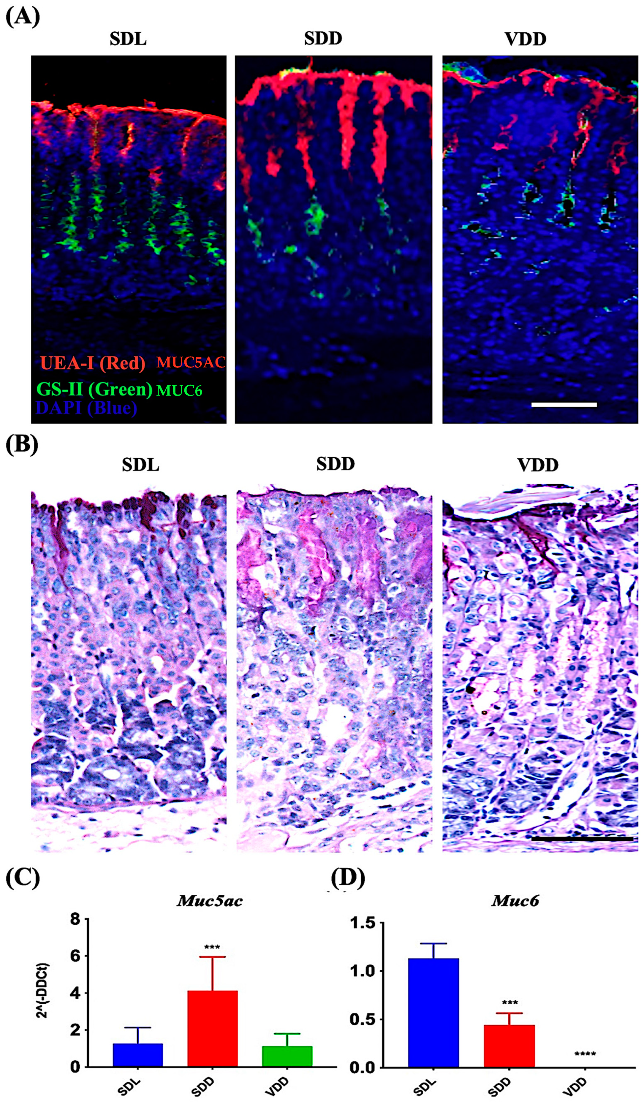 Nutrients 15 04648 g006
