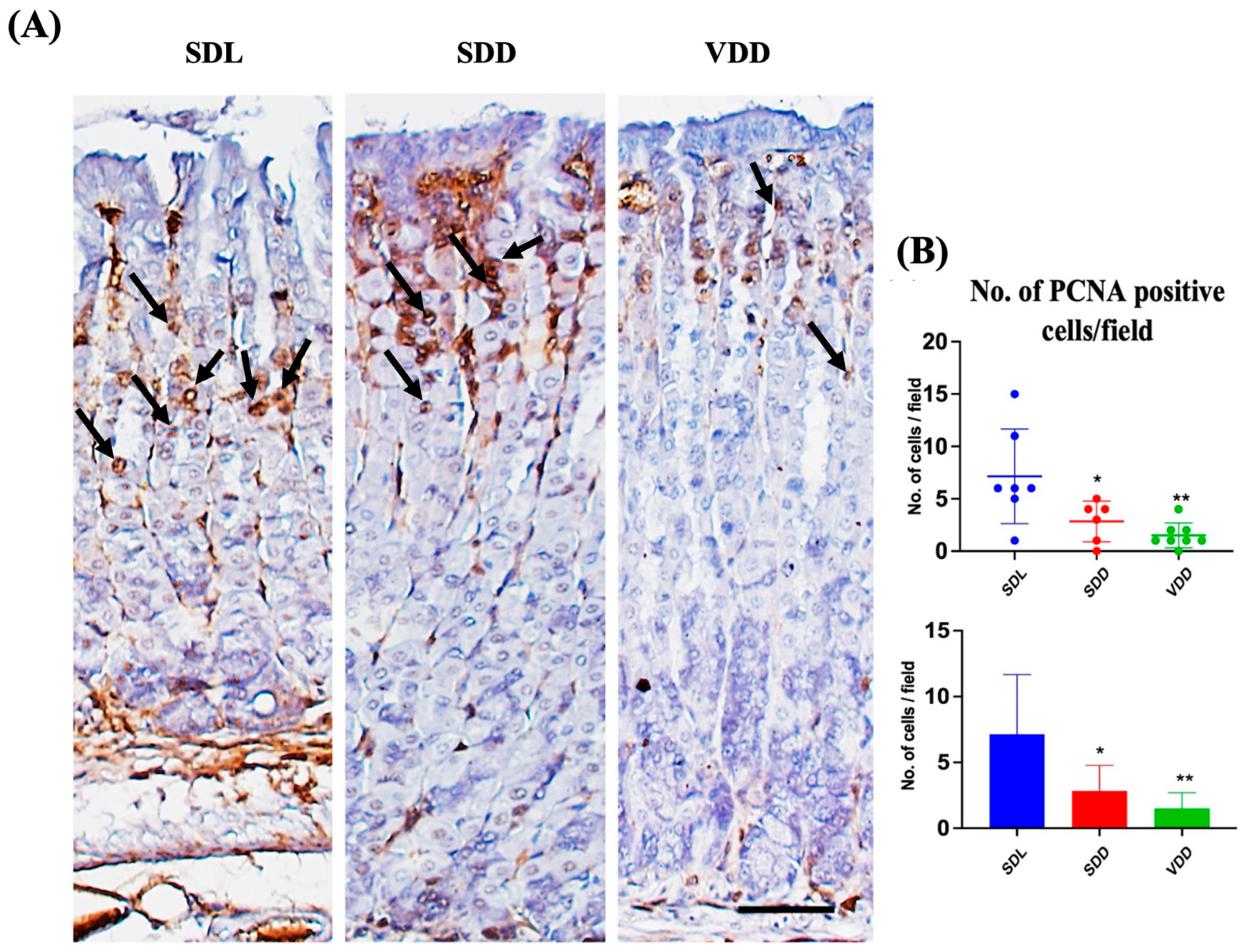 Nutrients 15 04648 g008