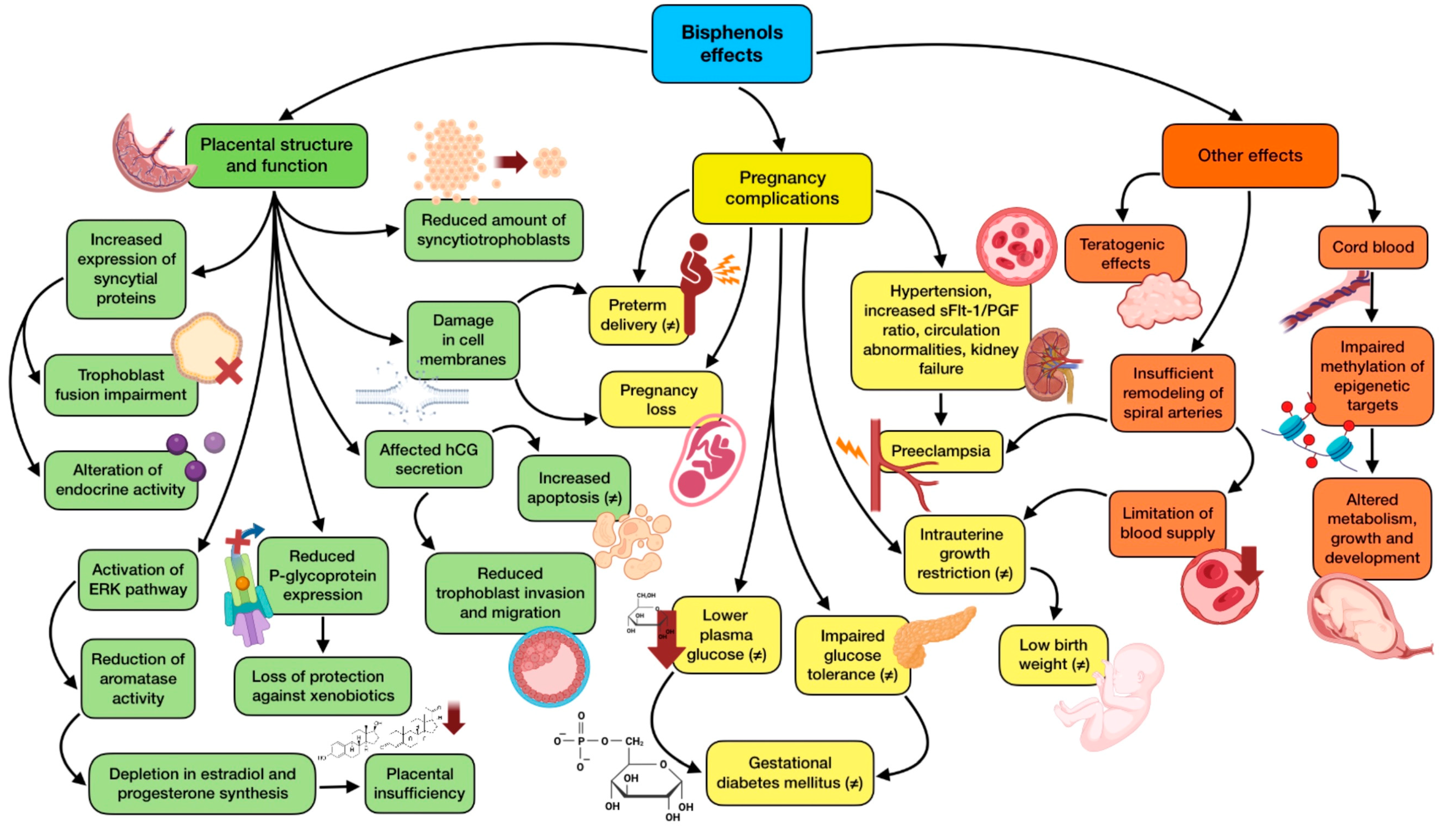 Nutrients 15 04657 g002