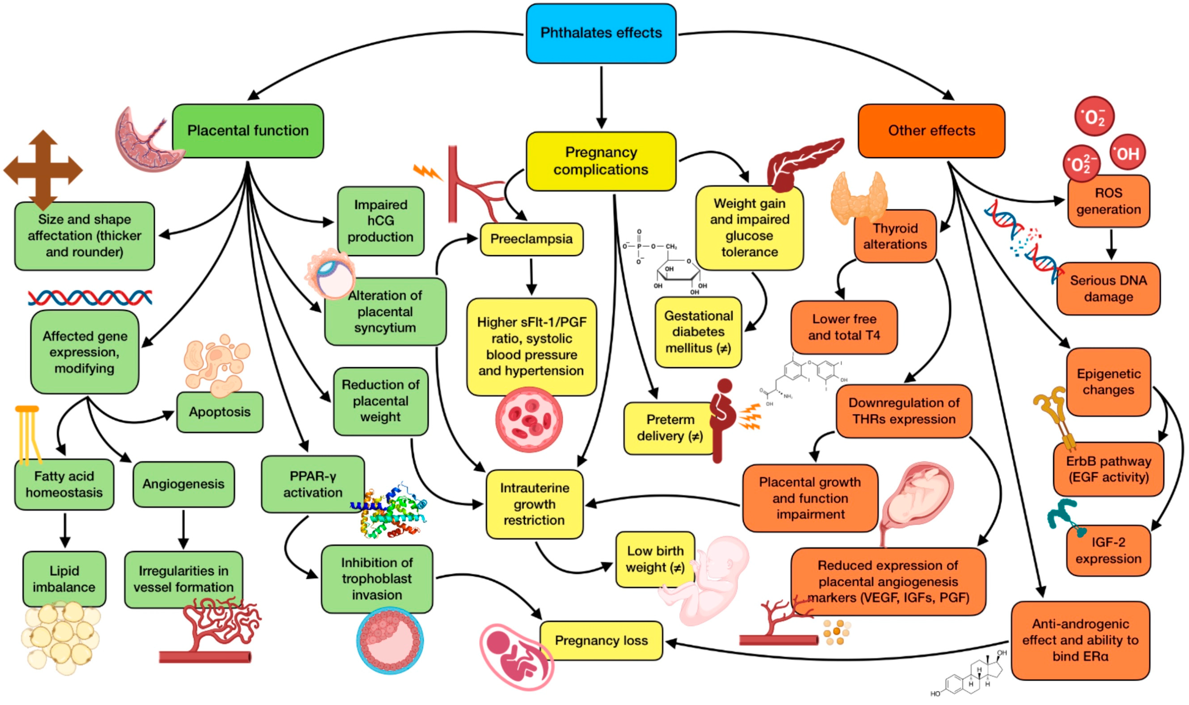 Nutrients 15 04657 g003