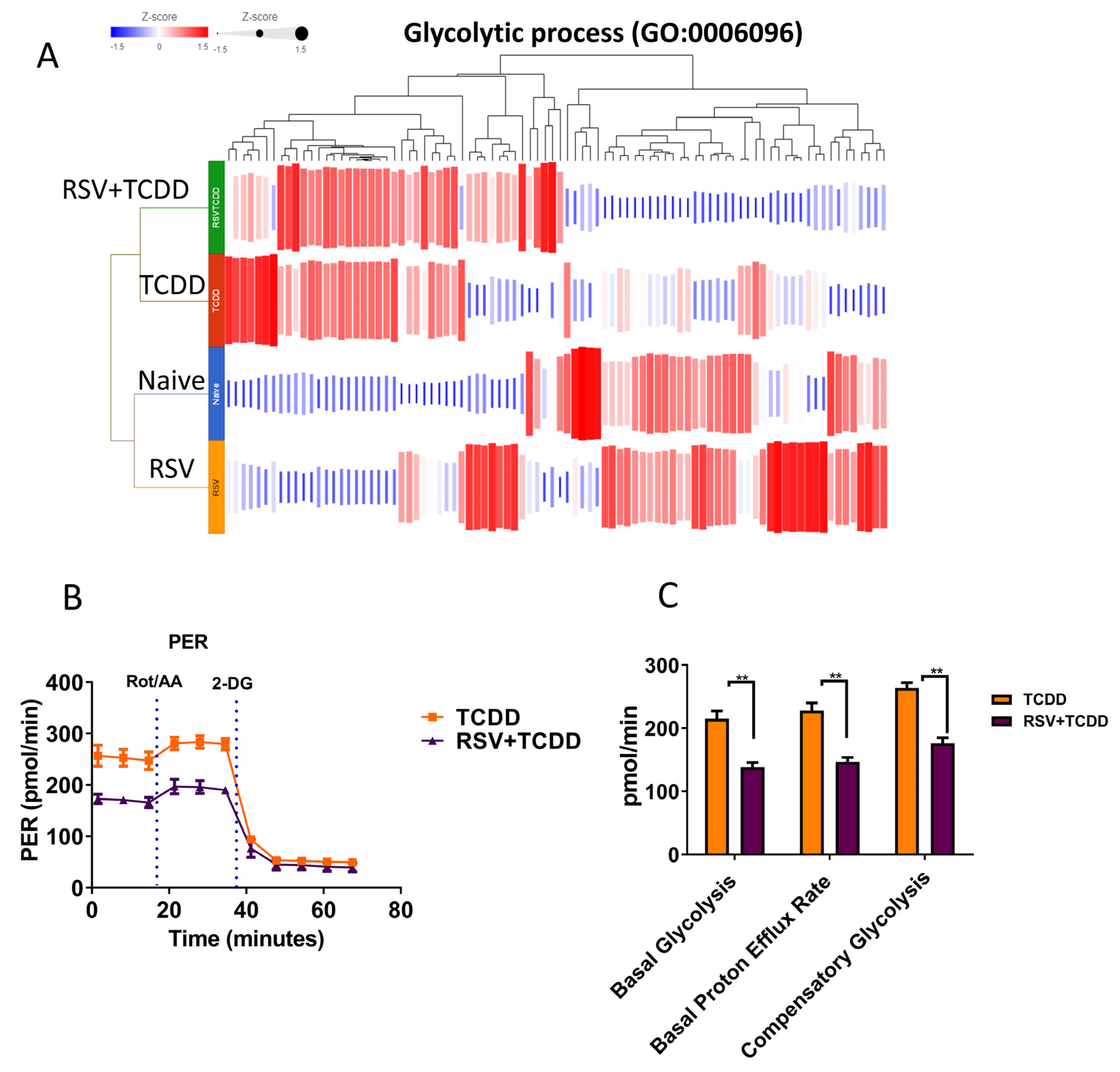 Nutrients 15 04667 g004