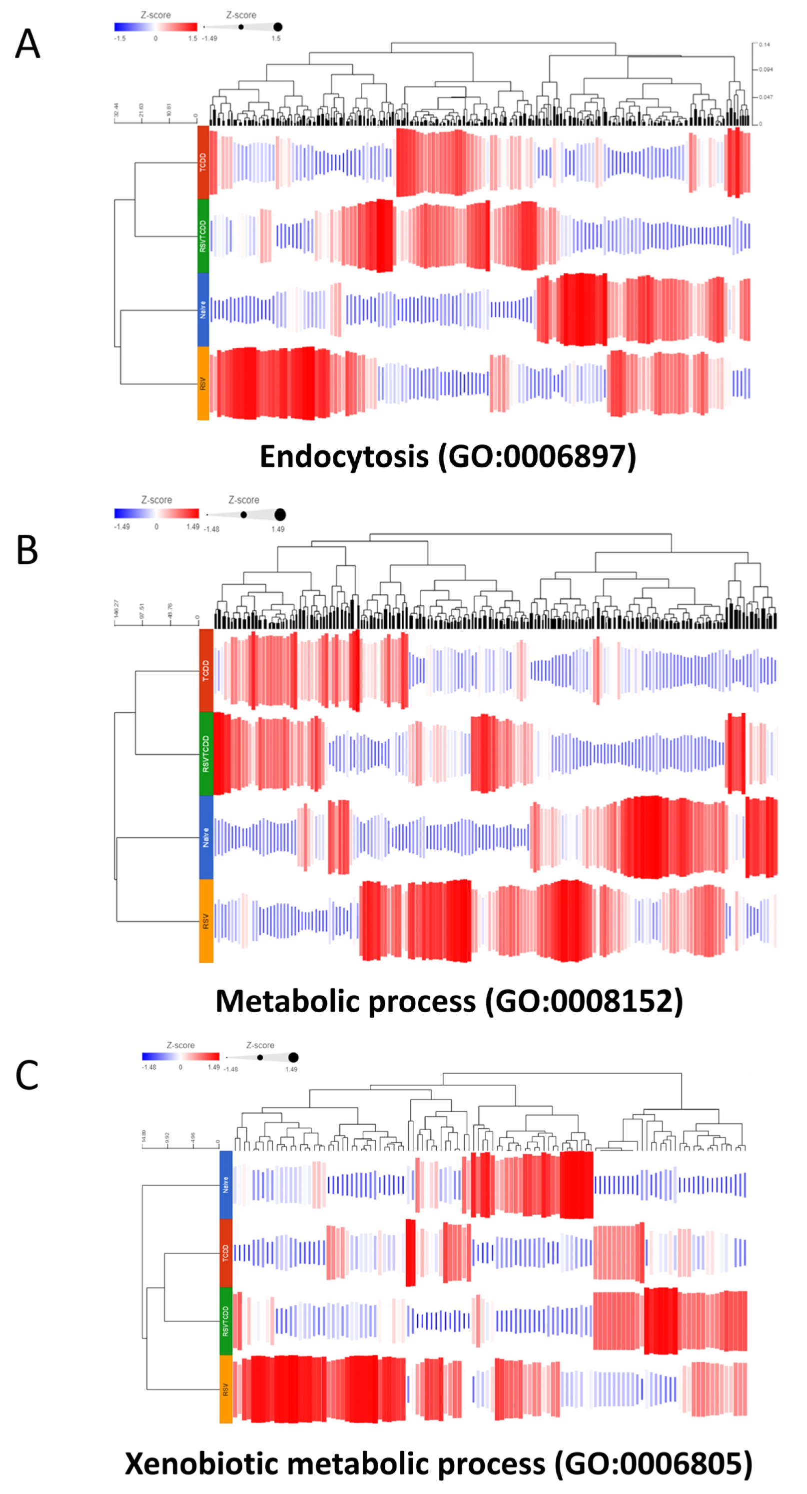 Nutrients 15 04667 g005