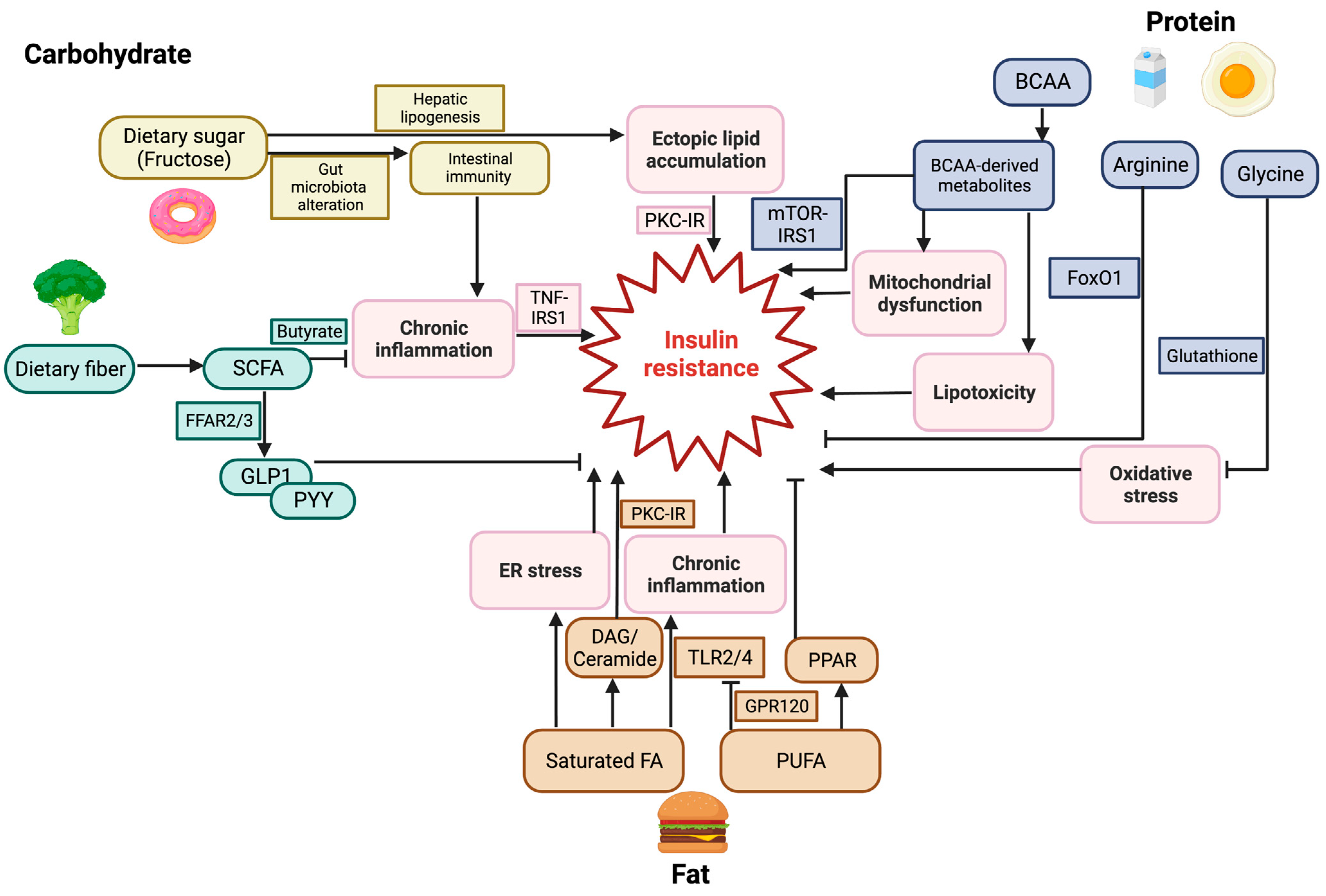 Nutrients 15 04671 g002