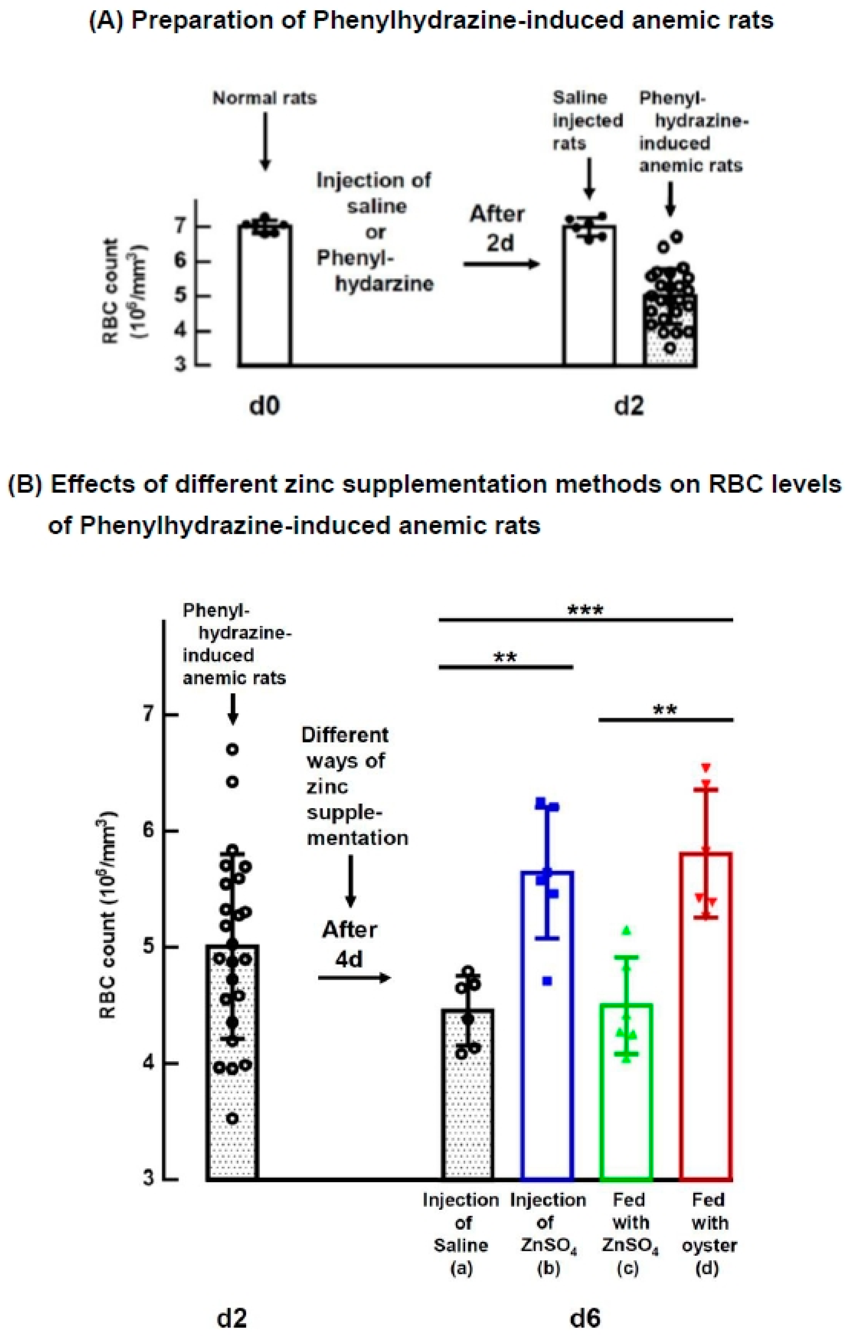 Nutrients 15 04675 g001
